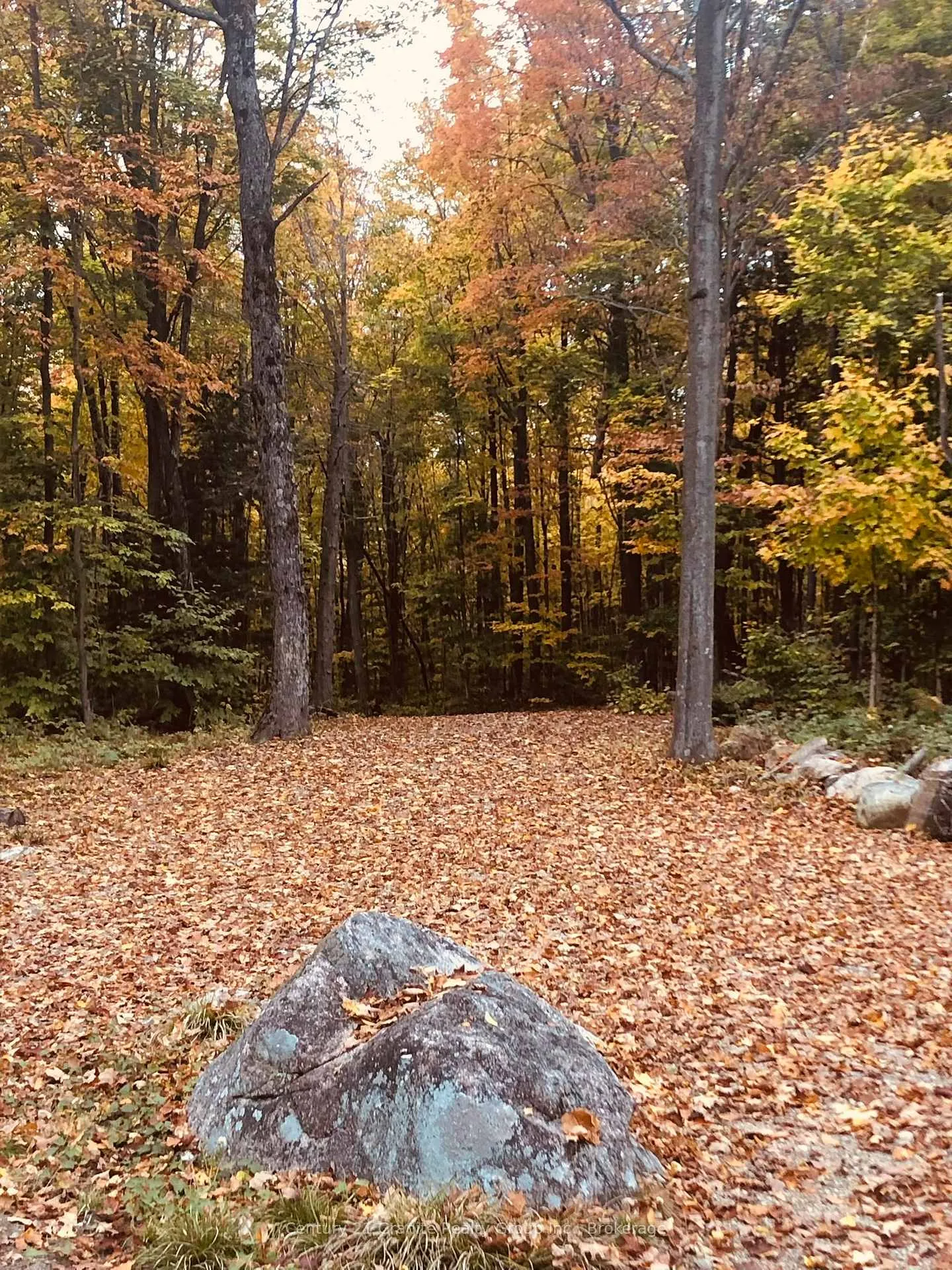 Photo 22 of 00 Ross Trail, Dysart et al, Harburn — HOMEH