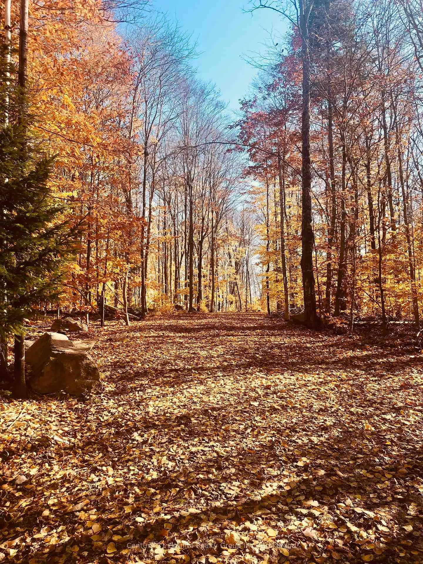 Photo 29 of 00 Ross Trail, Dysart et al, Harburn — HOMEH