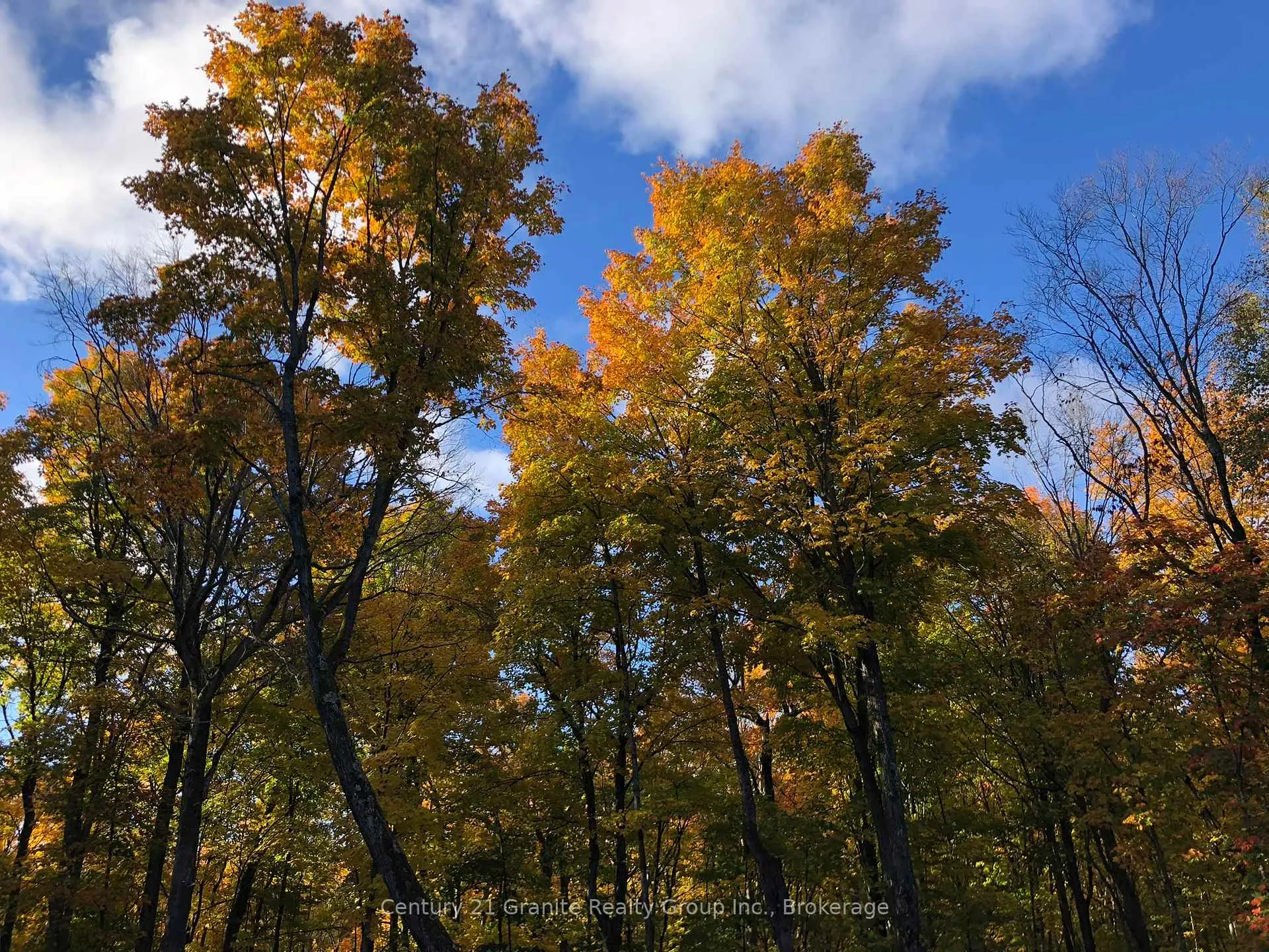 Photo 33 of 00 Ross Trail, Dysart et al, Harburn — HOMEH