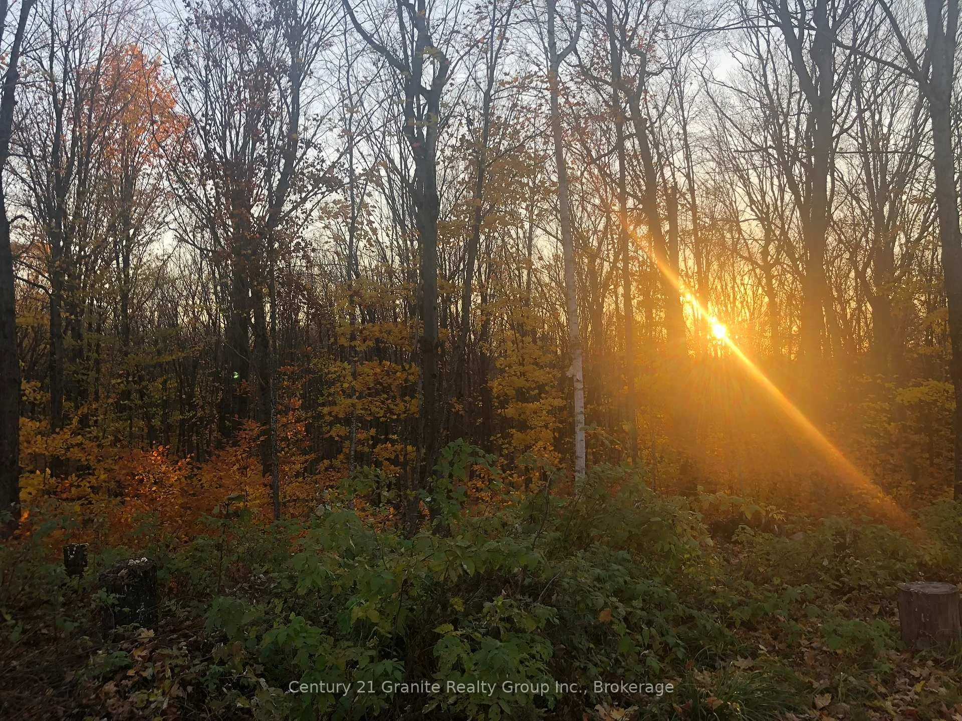 Photo 44 of 00 Ross Trail, Dysart et al, Harburn — HOMEH