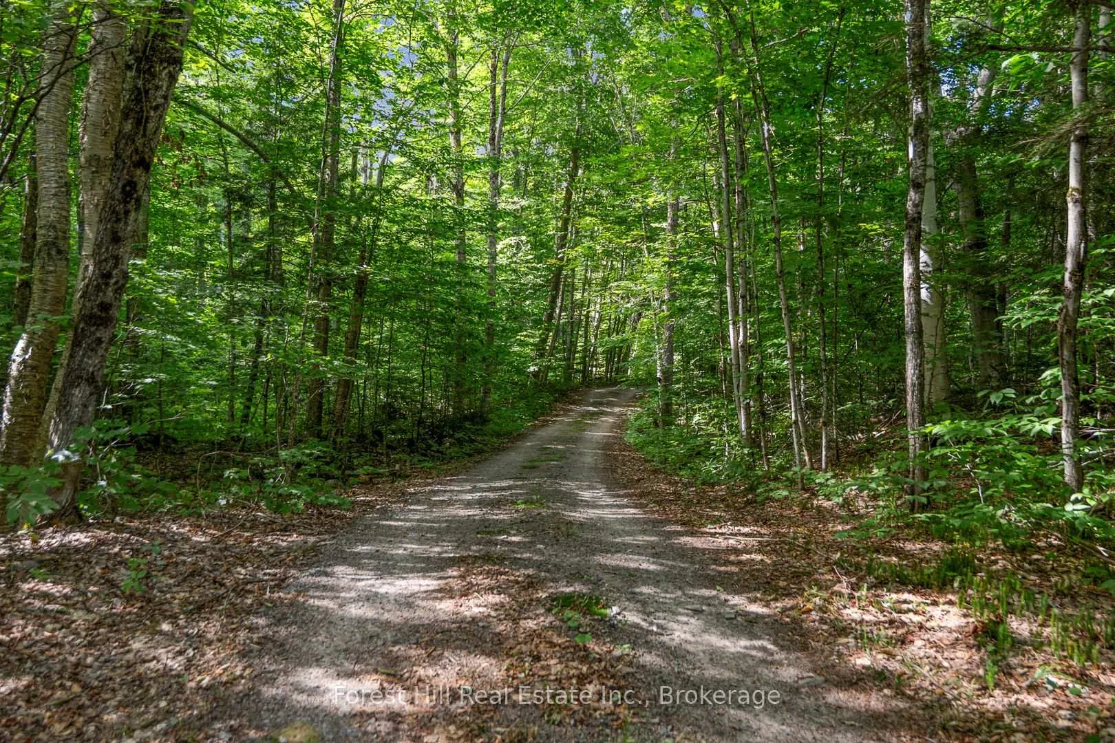 Photo 4 of 3477 Livingstone Lake Road, Algonquin Highlands, McClintock — HOMEH