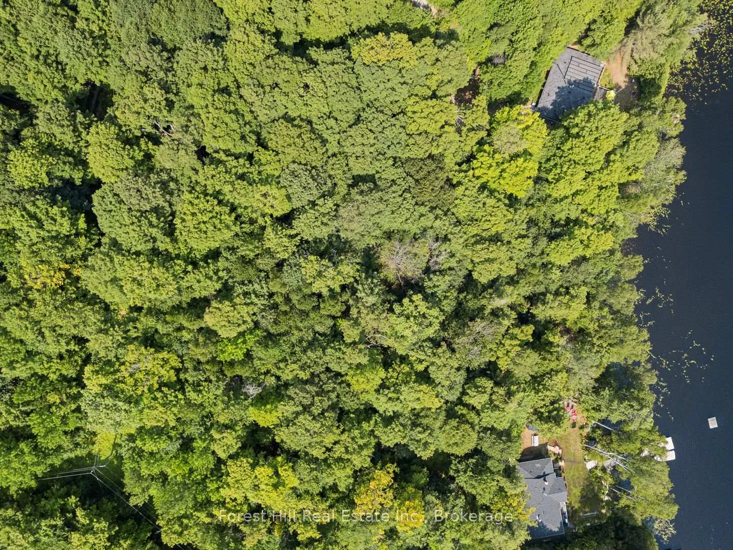 Photo 41 of 3477 Livingstone Lake Road, Algonquin Highlands, McClintock — HOMEH