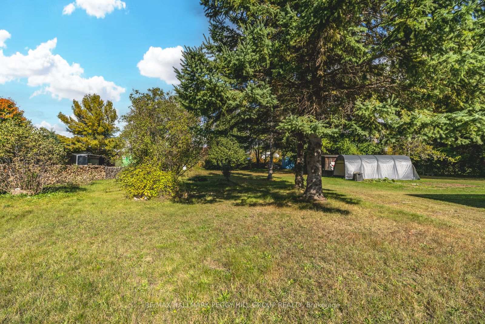 Photo 5 of 221 Phillips Street, Barrie, Ardagh — HOMEH