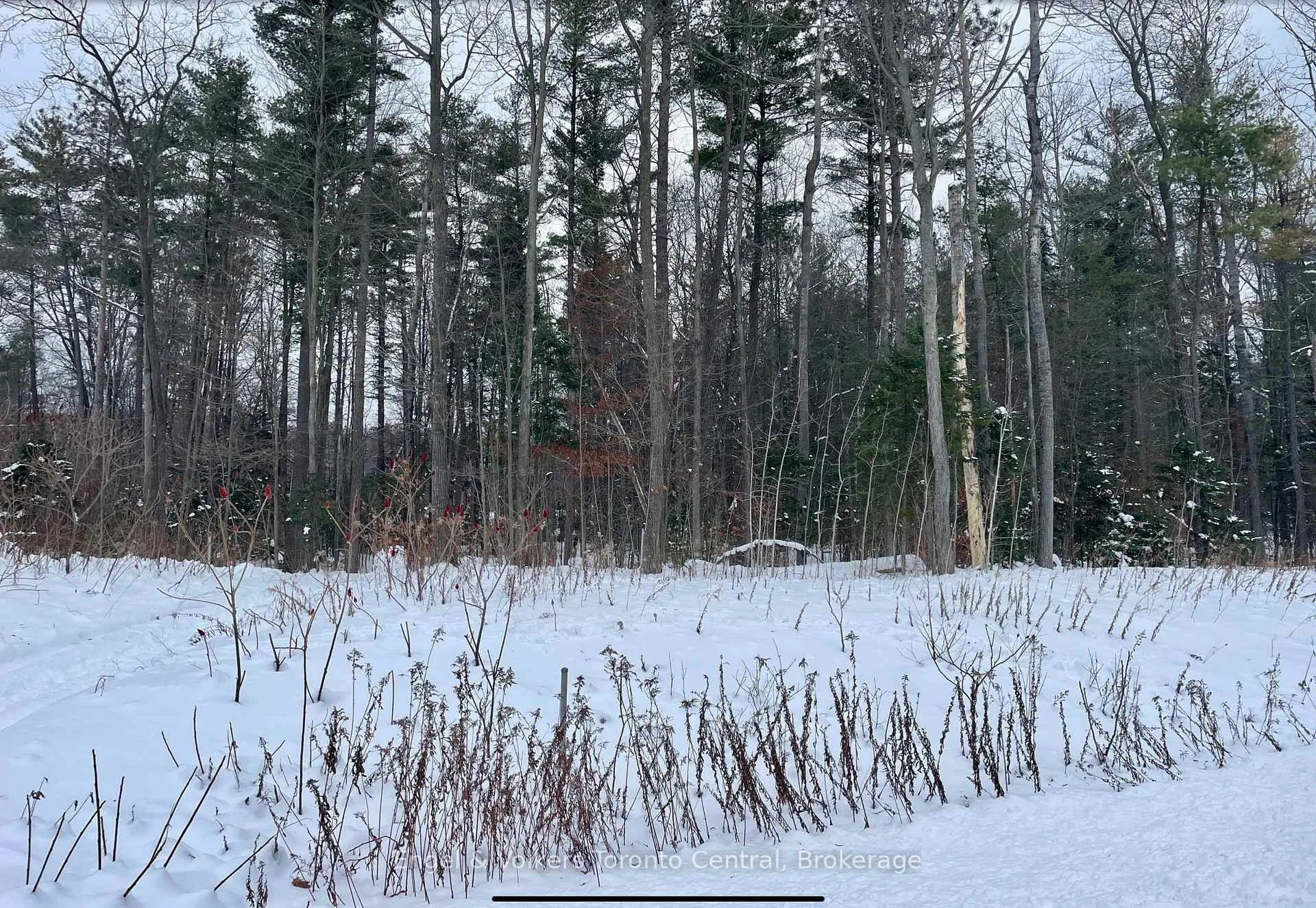 Photo 1 of Lot 5 Algonquin Trail, Tiny, Rural Tiny — HOMEH