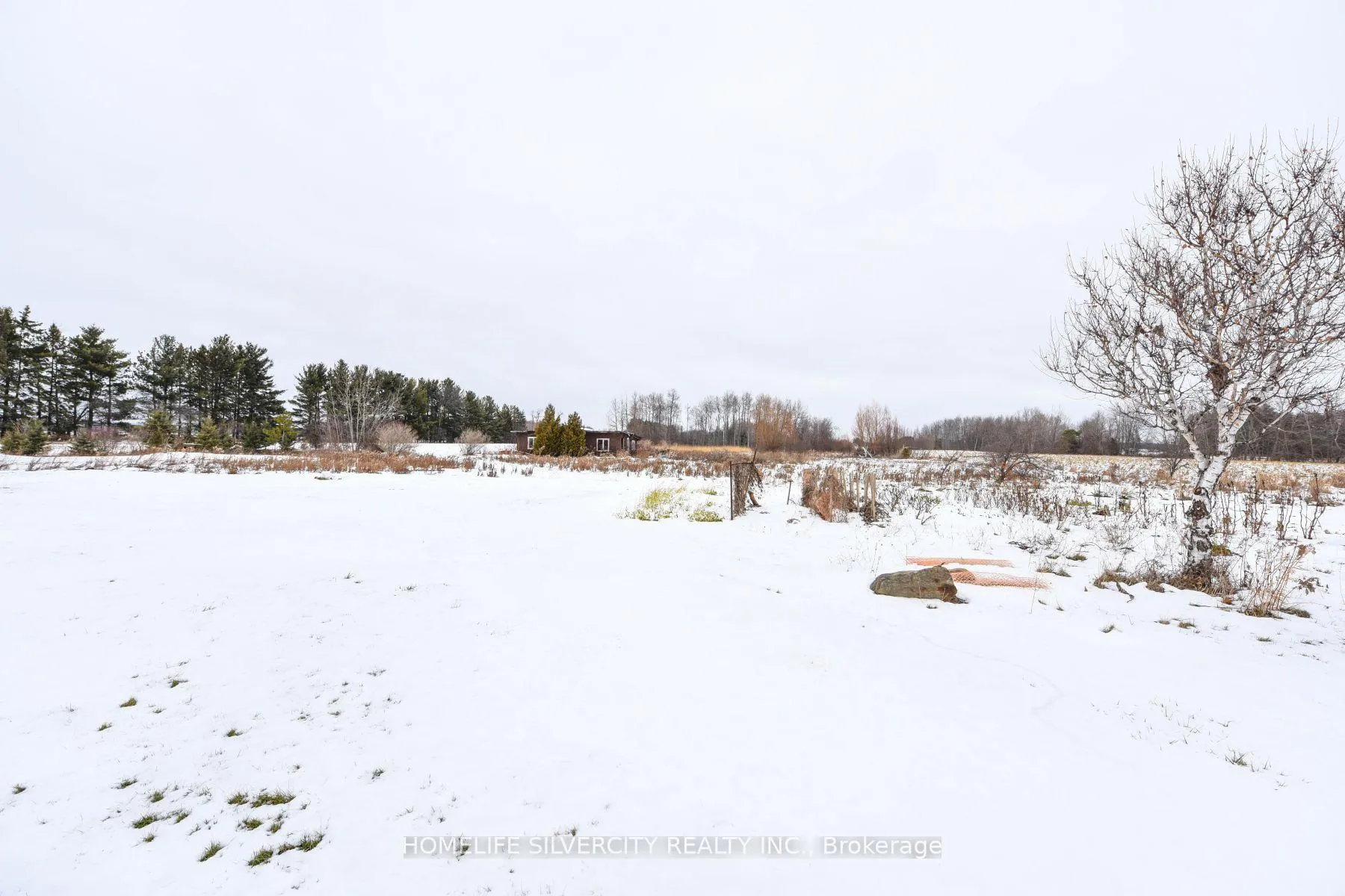 Photo 42 of 14707 Dixie Road, Caledon, Rural Caledon — HOMEH