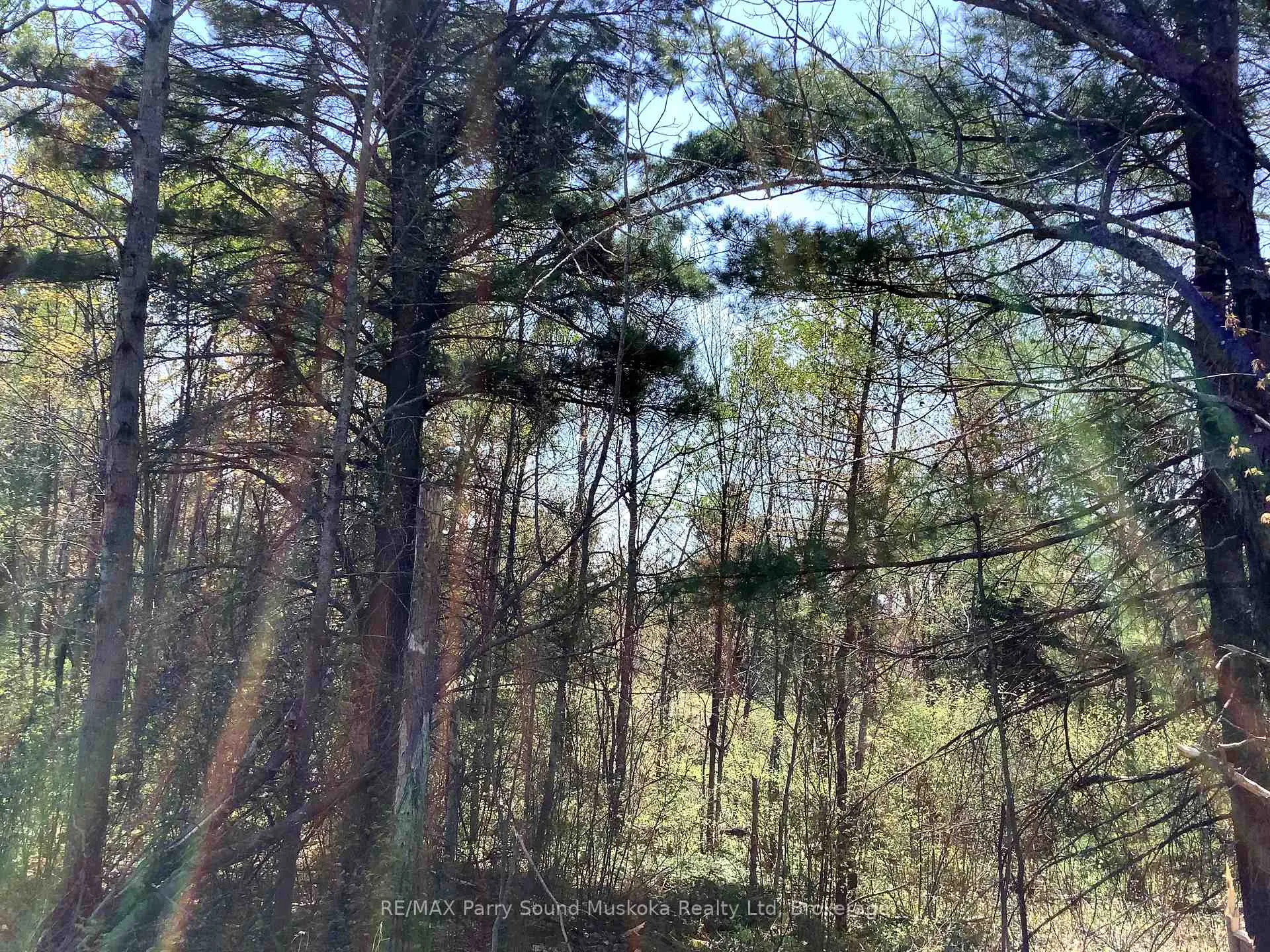 Photo 5 of 0000 Gauthier Station Road, Killarney — HOMEH