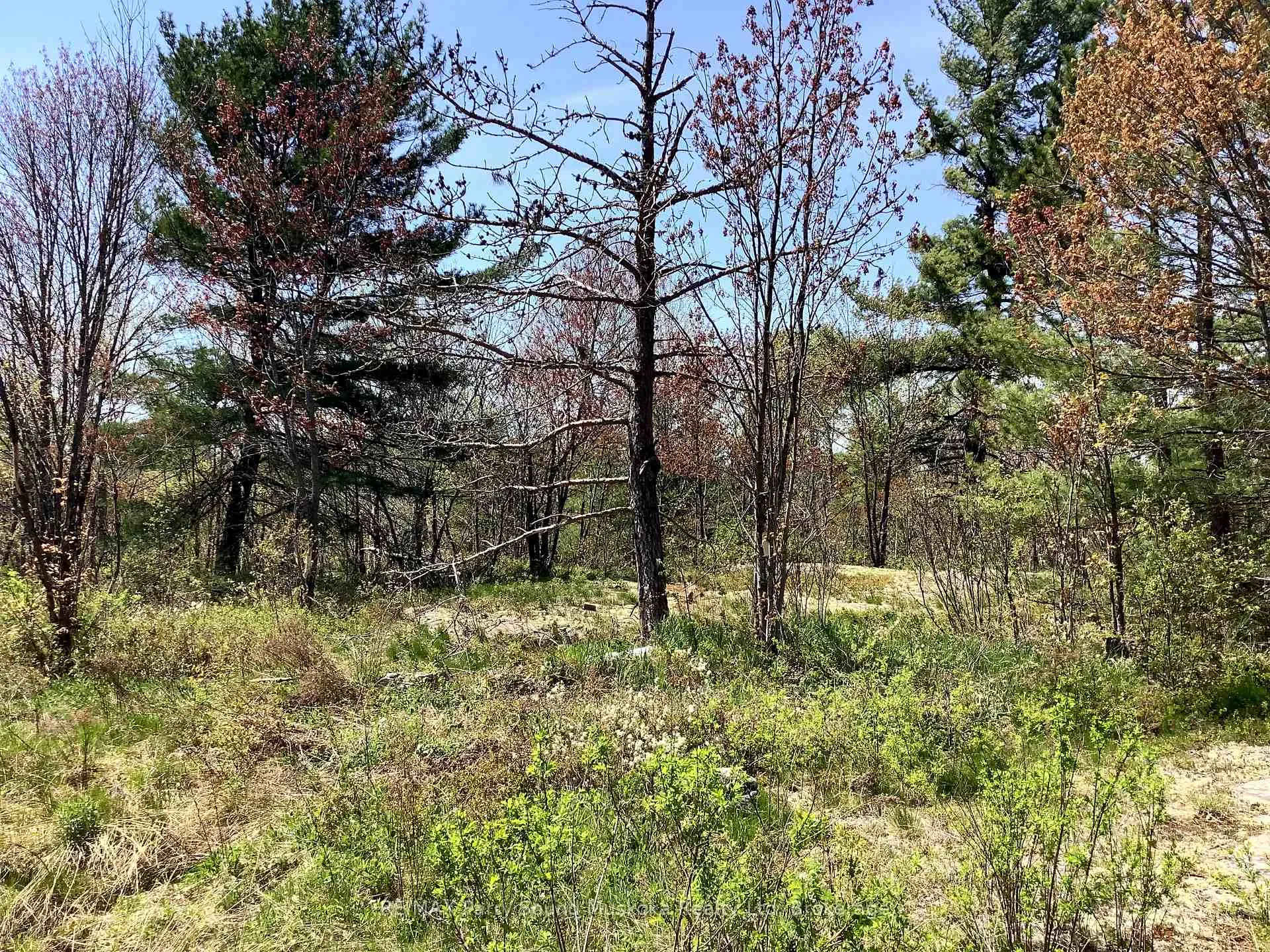 Photo 10 of 0000 Gauthier Station Road, Killarney — HOMEH
