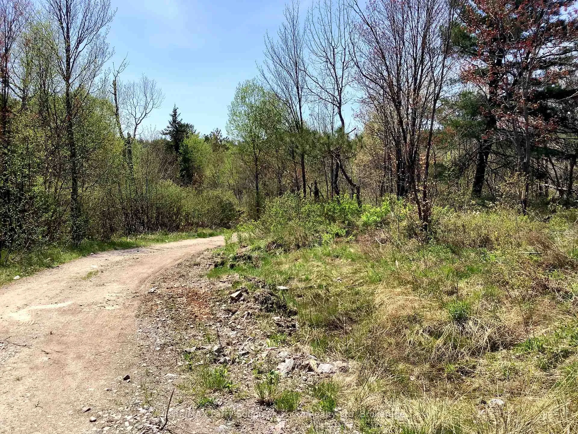 Photo 11 of 0000 Gauthier Station Road, Killarney — HOMEH
