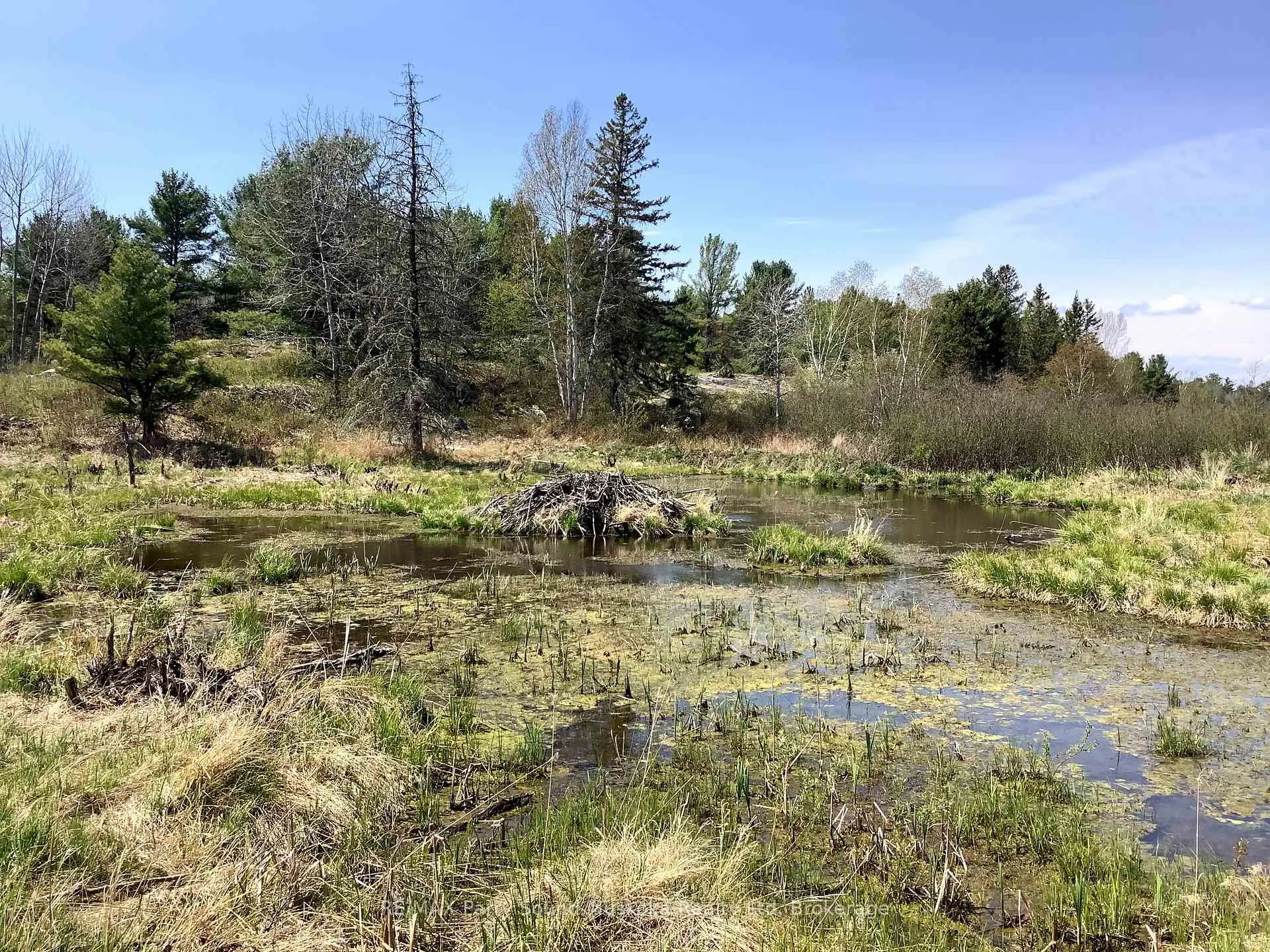 Photo 12 of 0000 Gauthier Station Road, Killarney — HOMEH