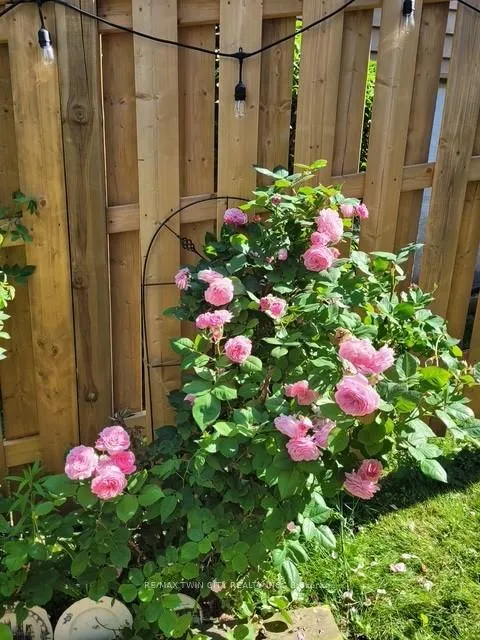 Photo 45 of 18 Charnwood Court, Kitchener — HOMEH