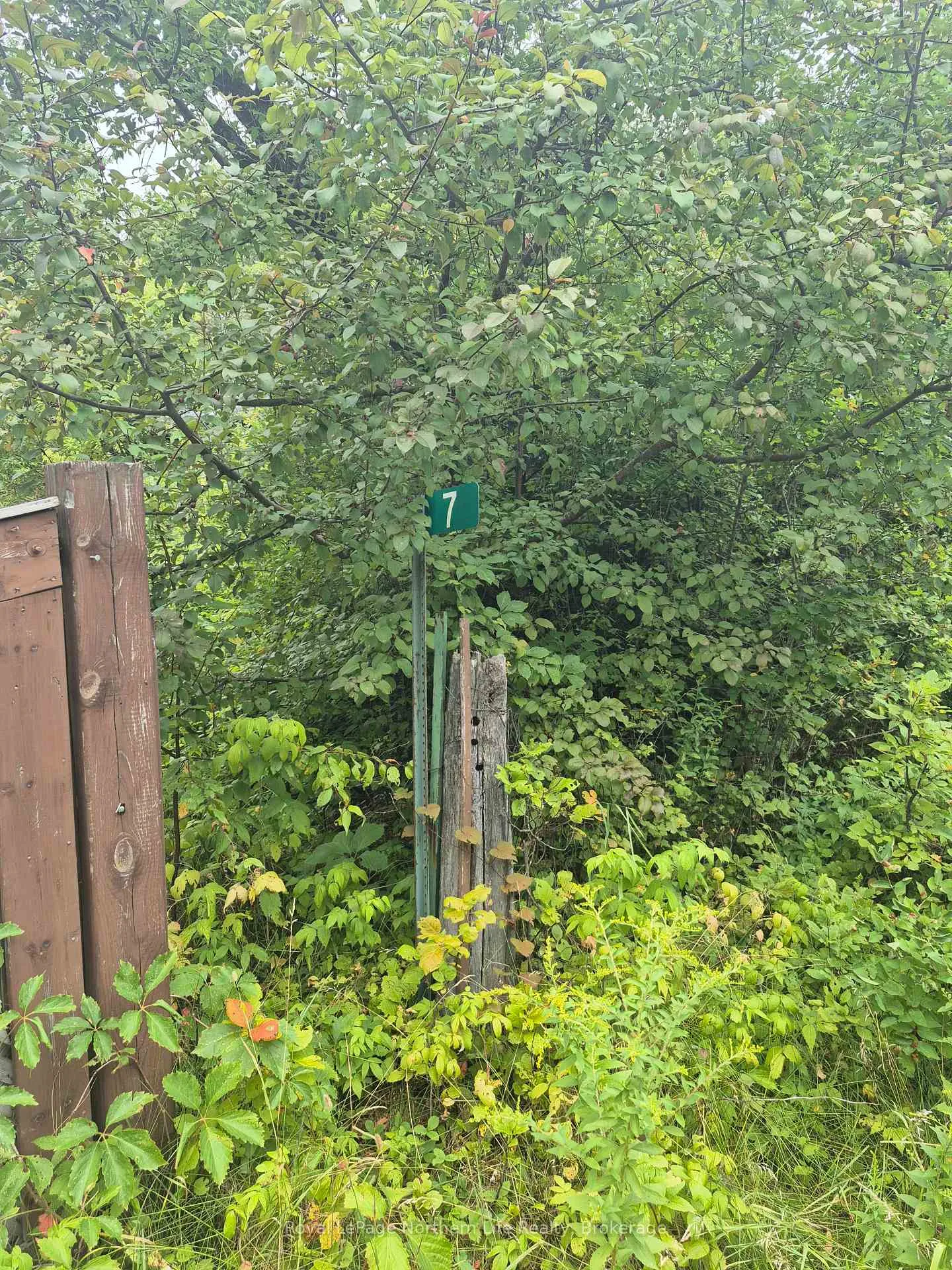 Photo 2 of 7 Burritts Road, Papineau-Cameron, Papineau Cameron — HOMEH