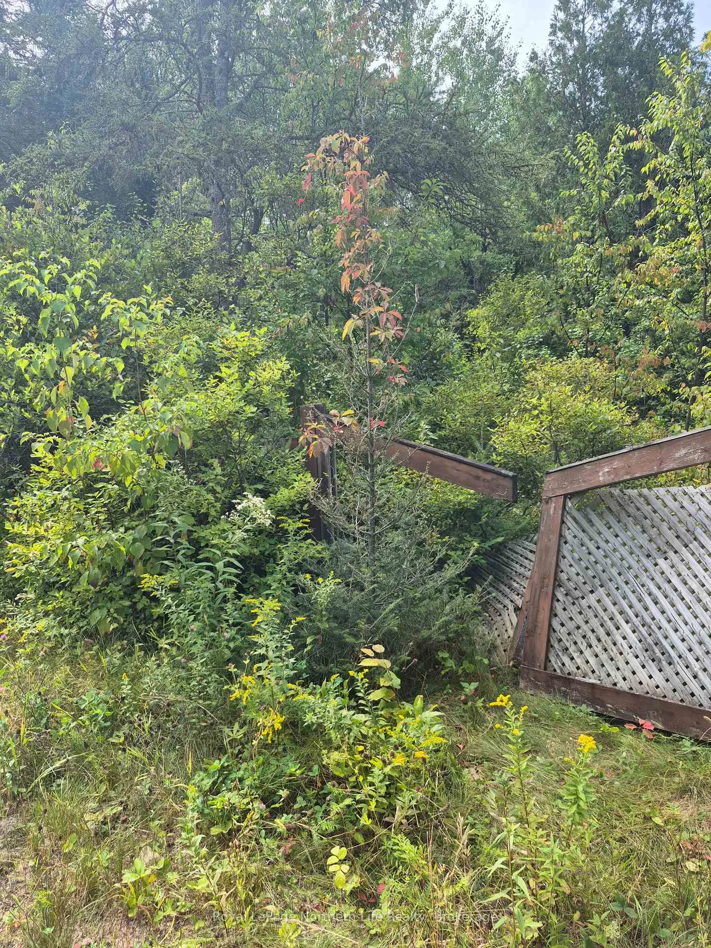 Photo 5 of 7 Burritts Road, Papineau-Cameron, Papineau Cameron — HOMEH