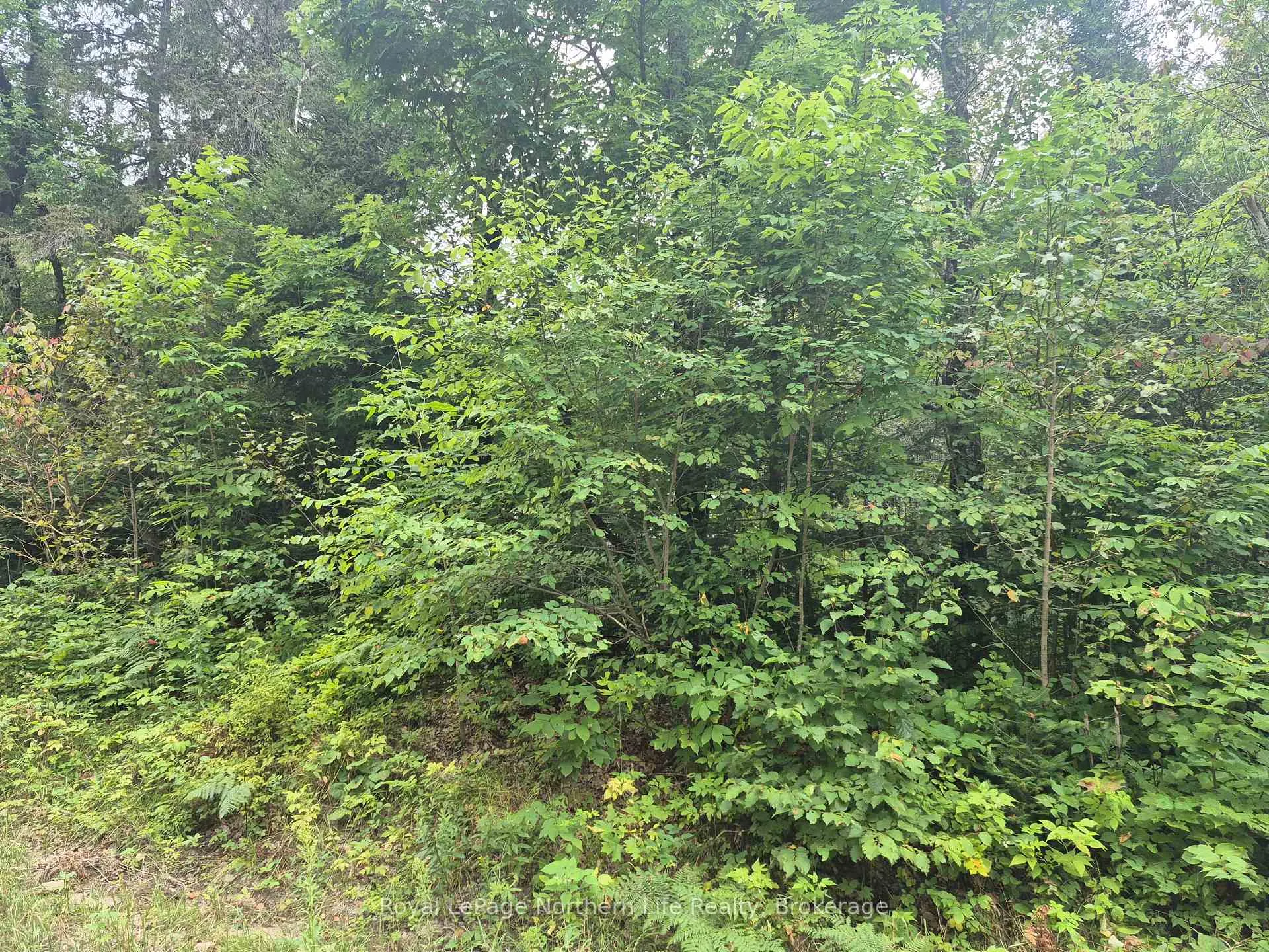 Photo 7 of 7 Burritts Road, Papineau-Cameron, Papineau Cameron — HOMEH