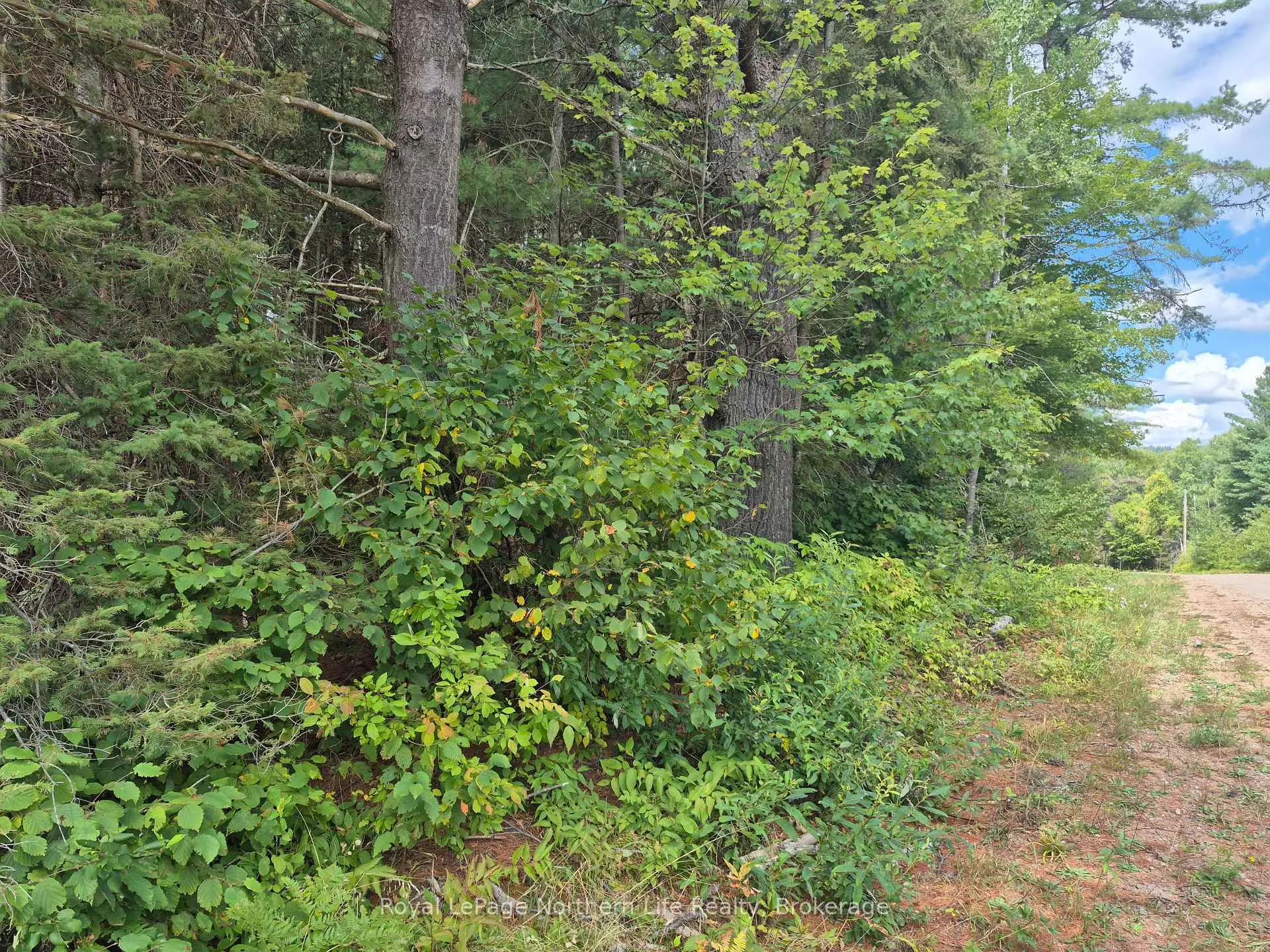 Photo 10 of 7 Burritts Road, Papineau-Cameron, Papineau Cameron — HOMEH