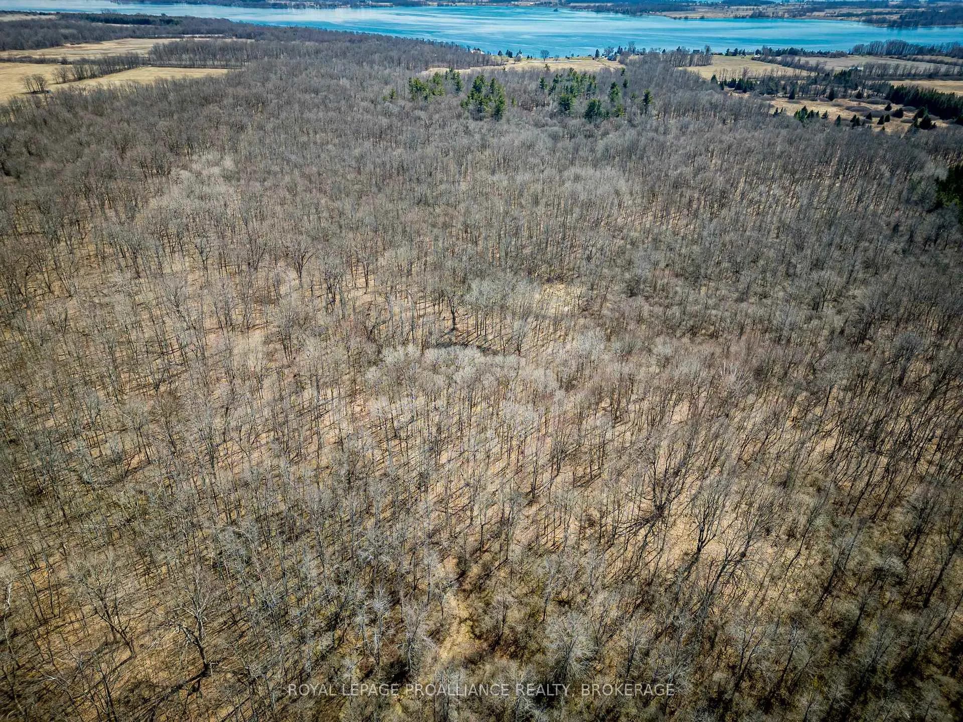Photo 6 of Lot 3 Baseline Road, Frontenac Islands, The Islands — HOMEH