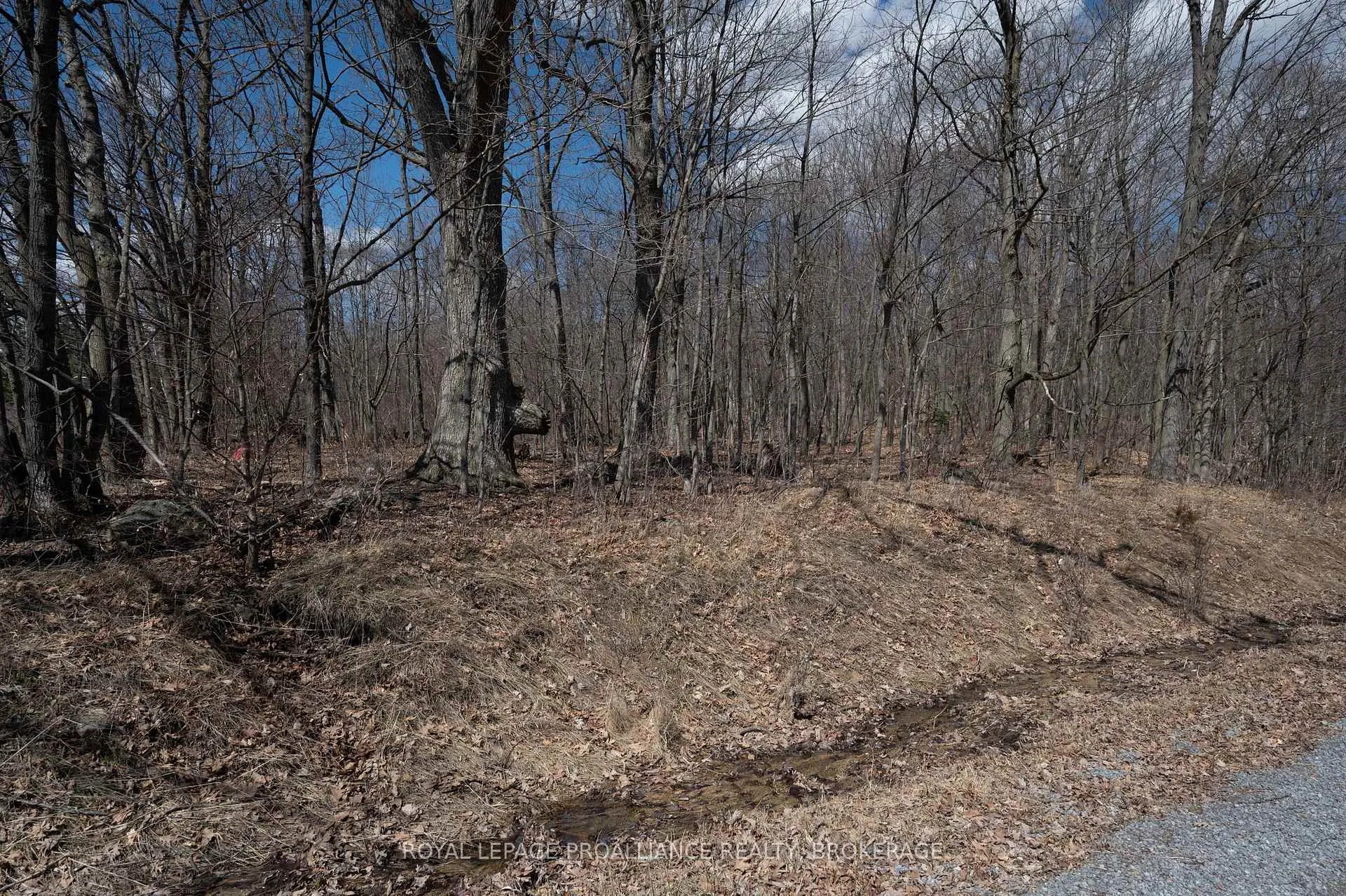 Photo 14 of Lot 3 Baseline Road, Frontenac Islands, The Islands — HOMEH