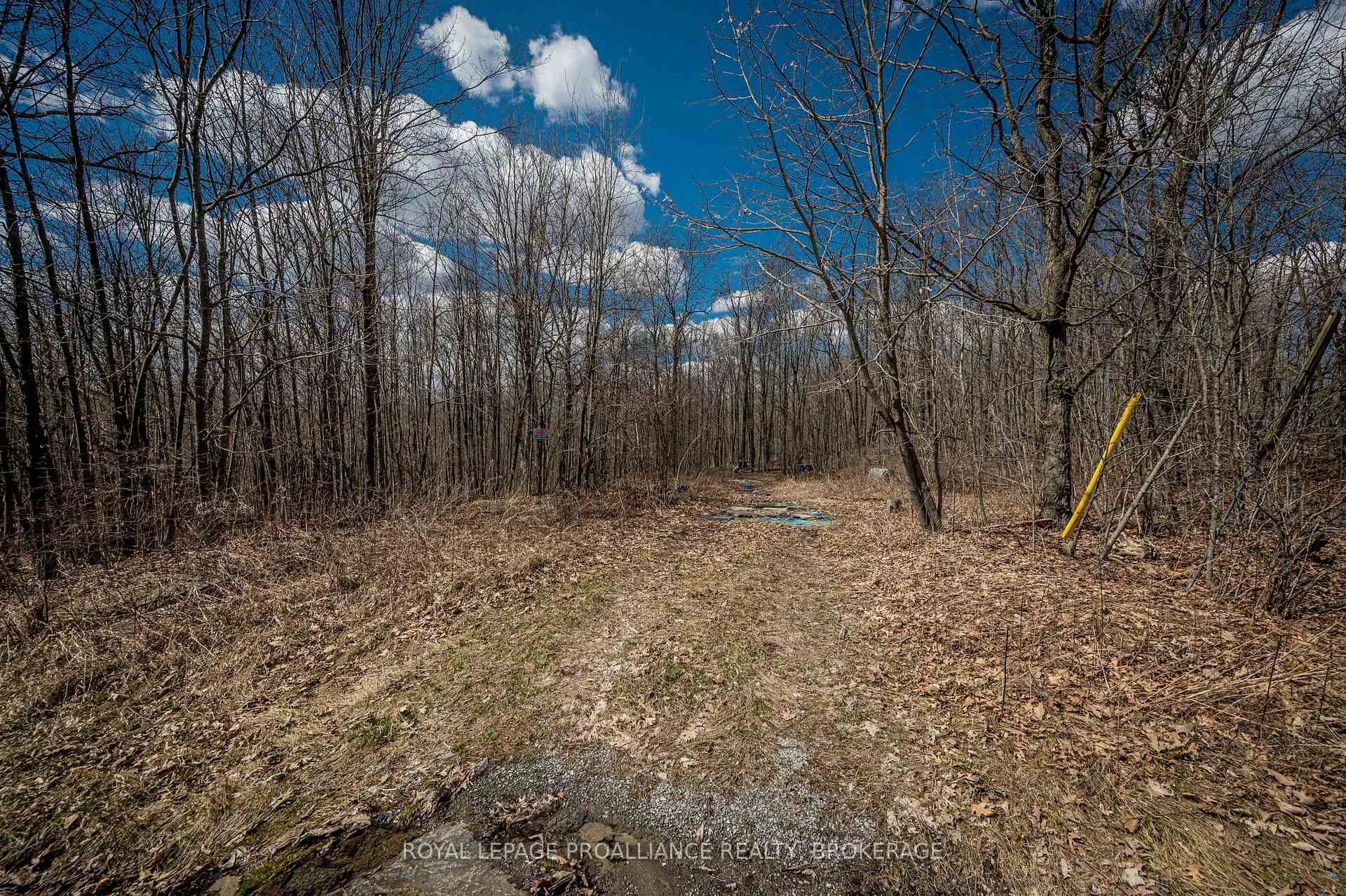 Photo 16 of Lot 3 Baseline Road, Frontenac Islands, The Islands — HOMEH