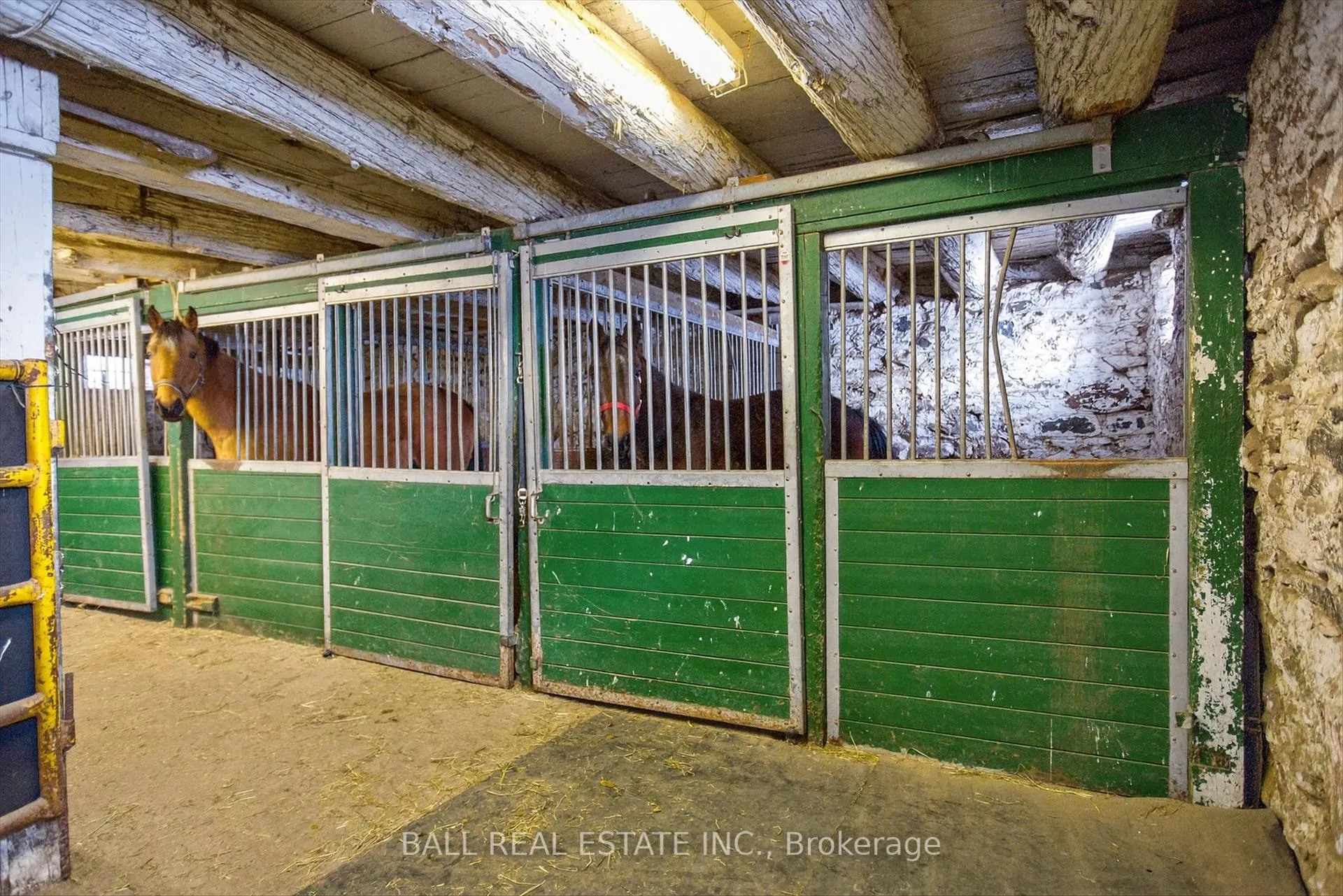 Photo 30 of 1132 Tara Road, Selwyn — HOMEH