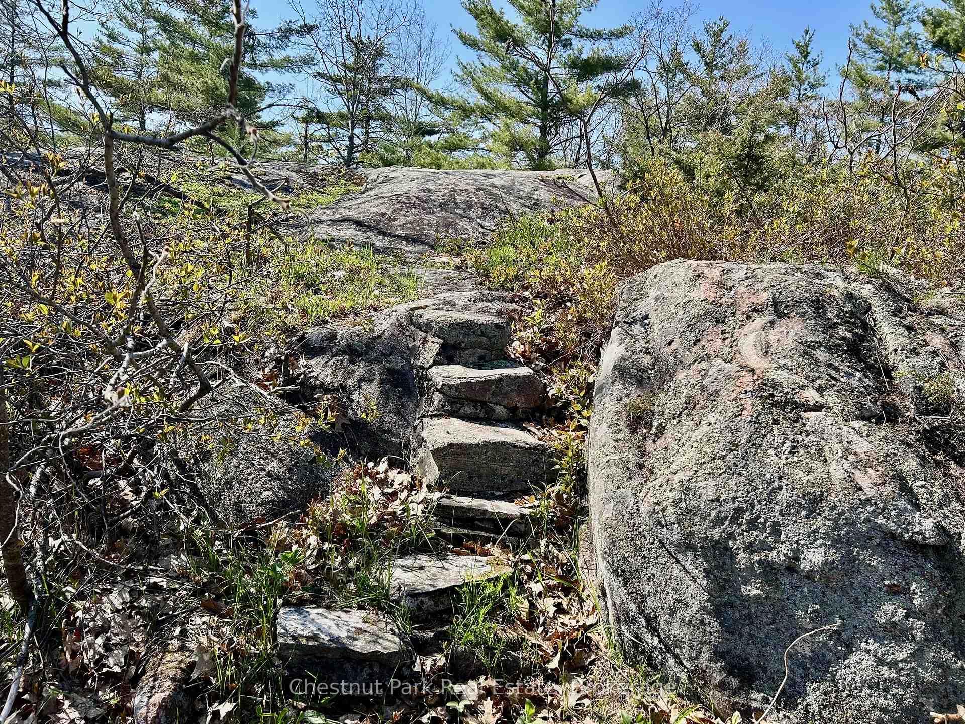 Photo 37 of Unit 2, 2-1051 Wigwam Lodge Road, Gravenhurst, Morrison — HOMEH