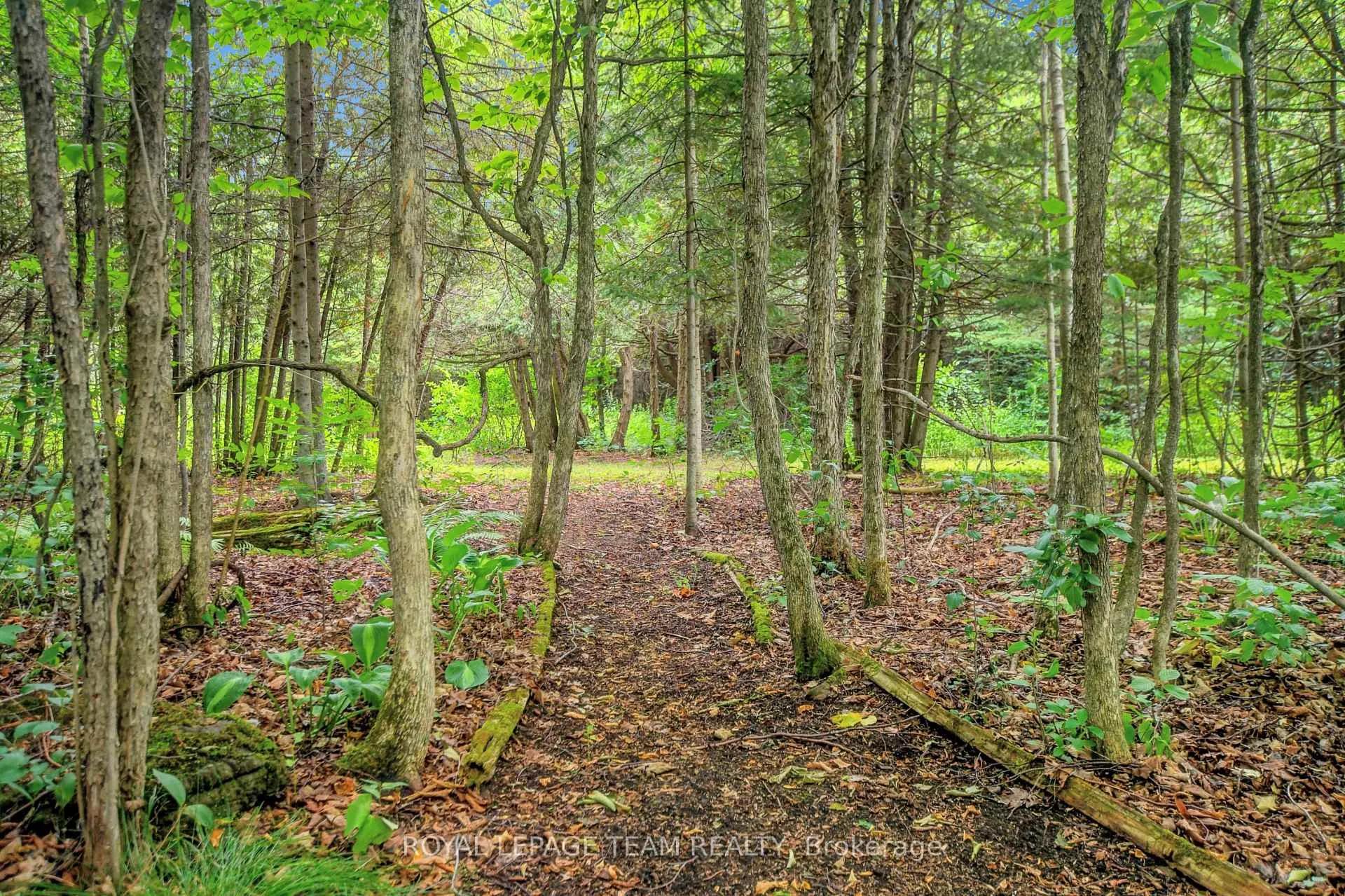 Photo 42 of 1043 County rd 44 E, North Grenville, North Grenville Twp (Kemptville South) — HOMEH