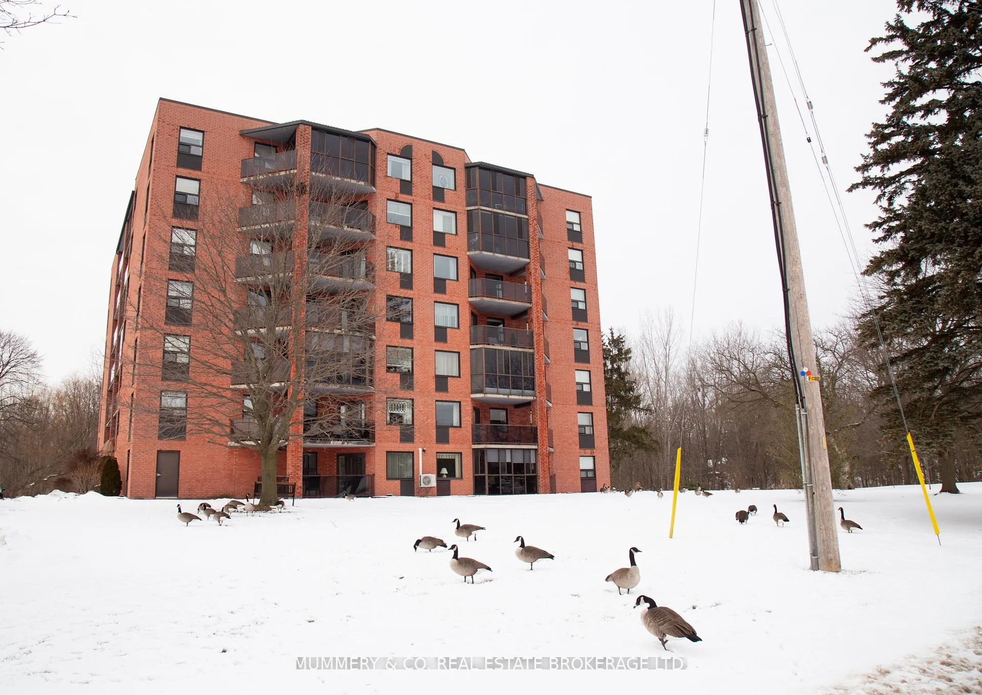Front of Unit 704, 5 Mill Pond Court