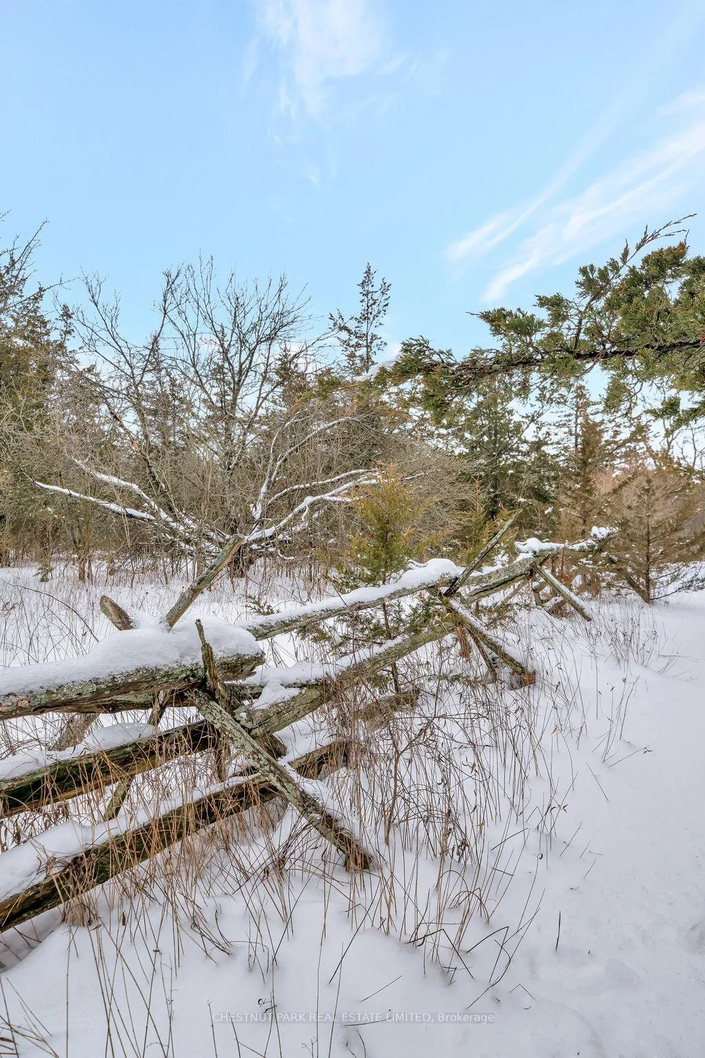 Photo 44 of 62 Mitchells Crossroad, Prince Edward County, North Marysburg Ward — HOMEH