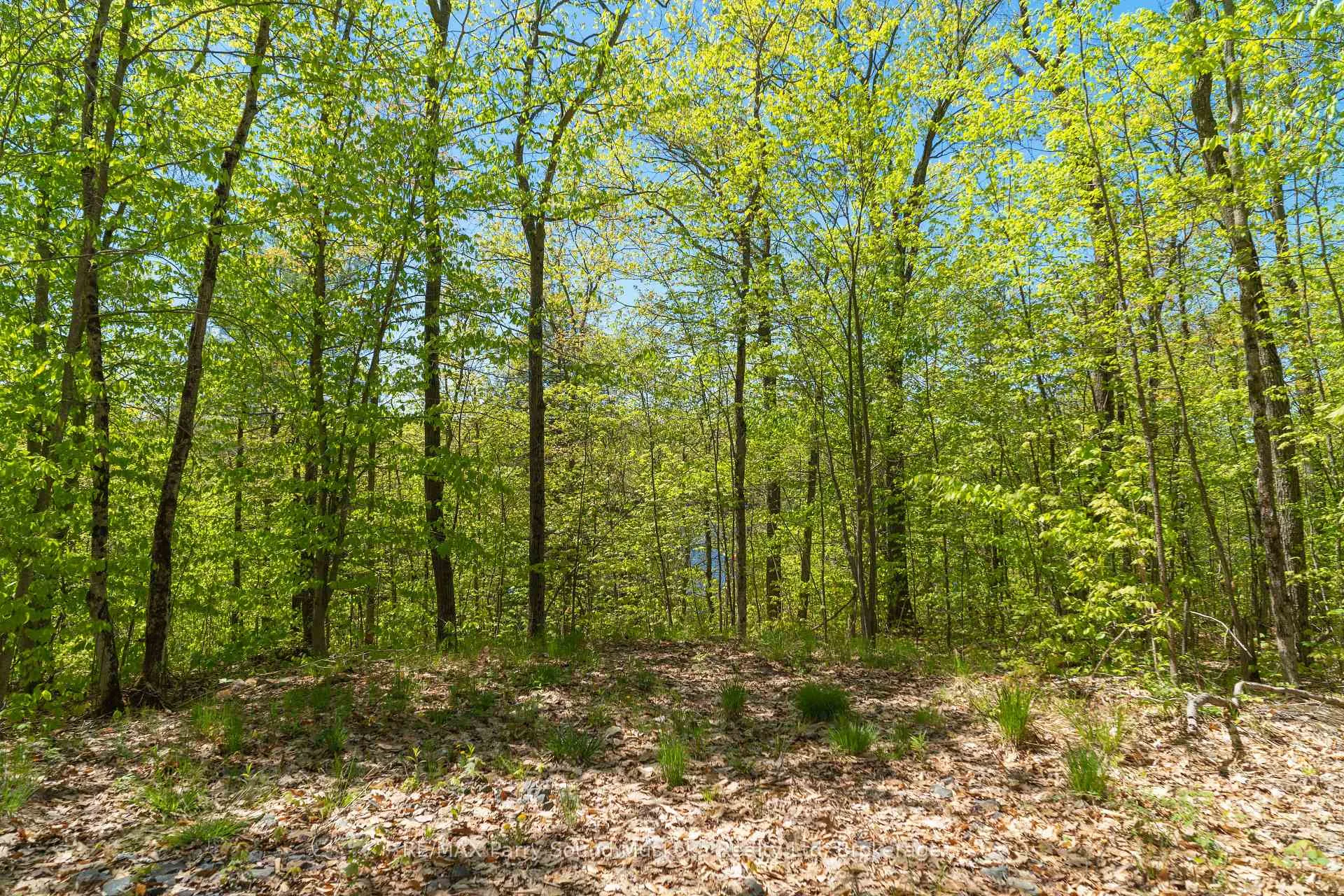 Photo 6 of 34A Bell Lake Road, McDougall — HOMEH