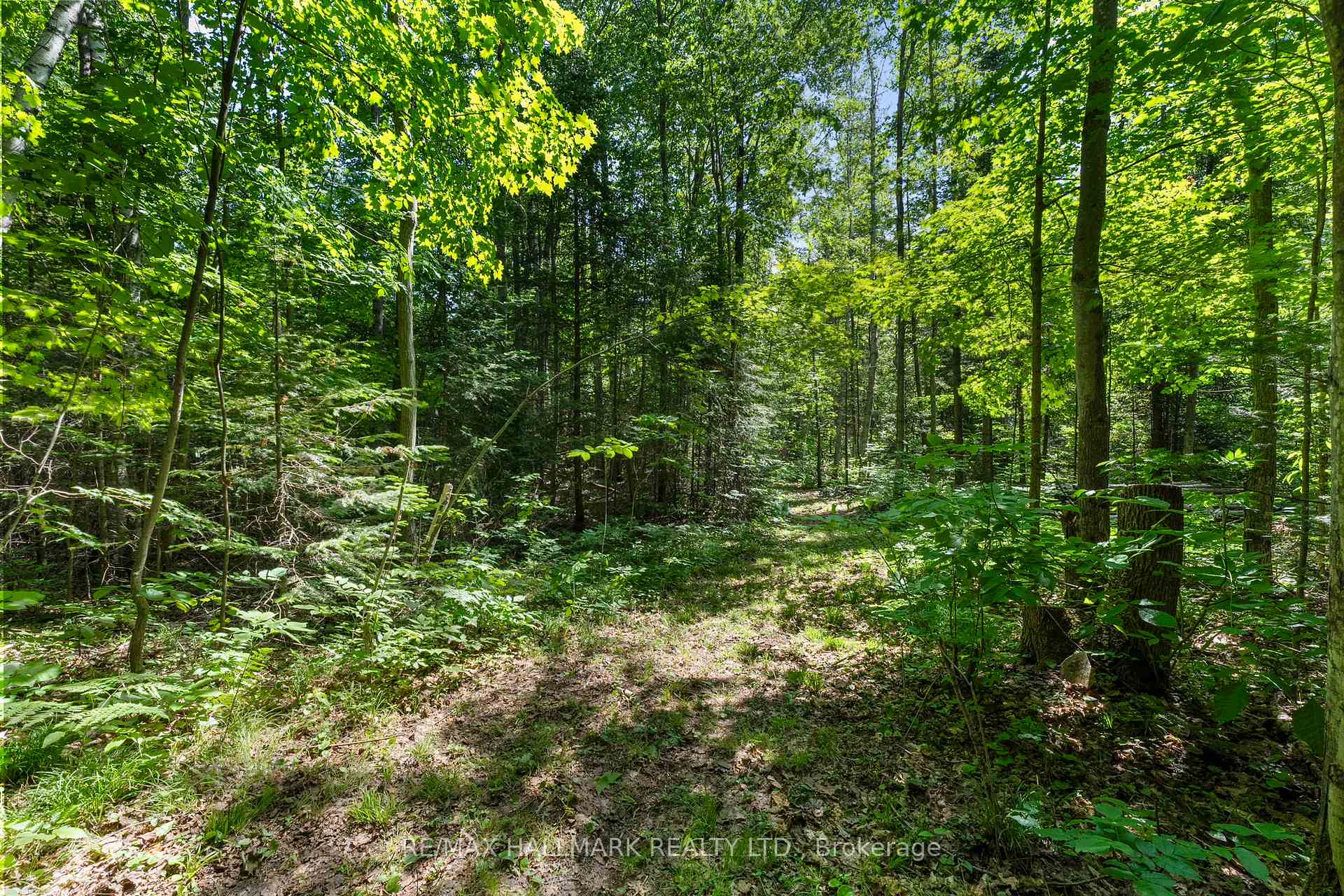 Photo 22 of 24093 Weirs Side Road, Georgina, Pefferlaw — HOMEH