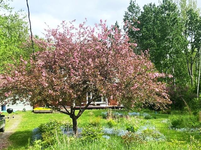 Photo 28 of 5658 Marlene Cr, Ottawa, Osgoode — HOMEH