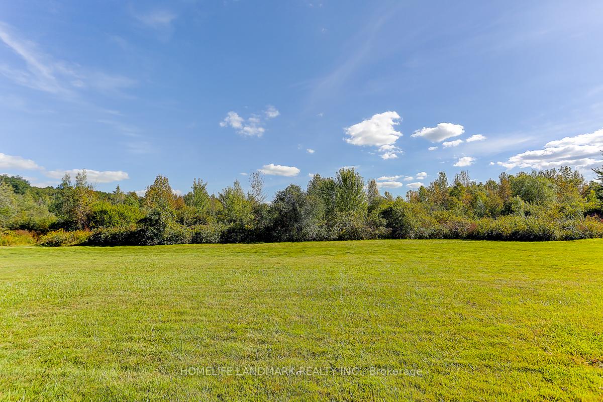 Photo 8 of 359 Adeline Drive, Georgina, Keswick South — HOMEH