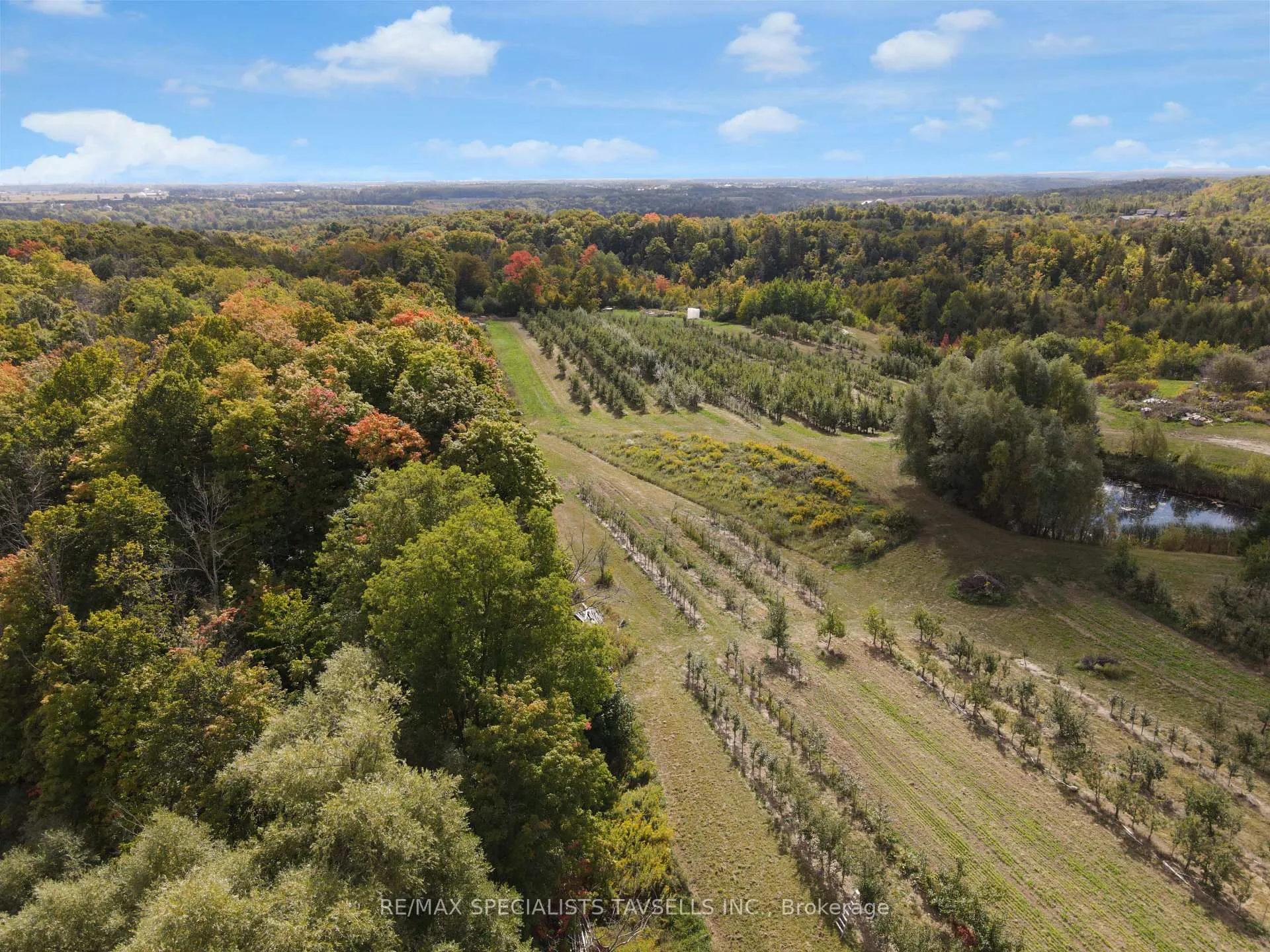 Photo 31 of 1137 Boston Mills Road, Caledon, Rural Caledon — HOMEH