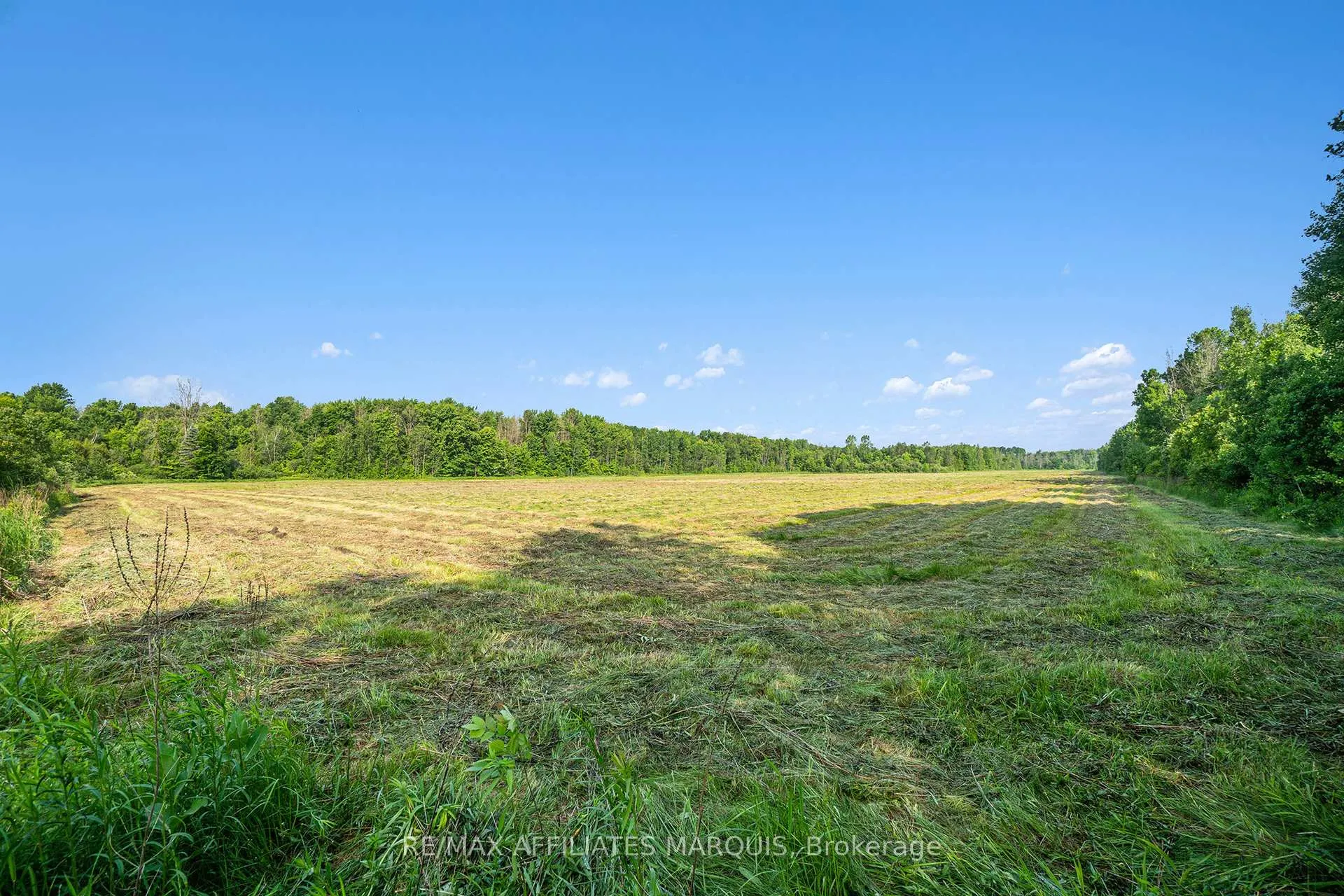 Photo 6 of 4TH Concession, Augusta, Augusta Twp — HOMEH