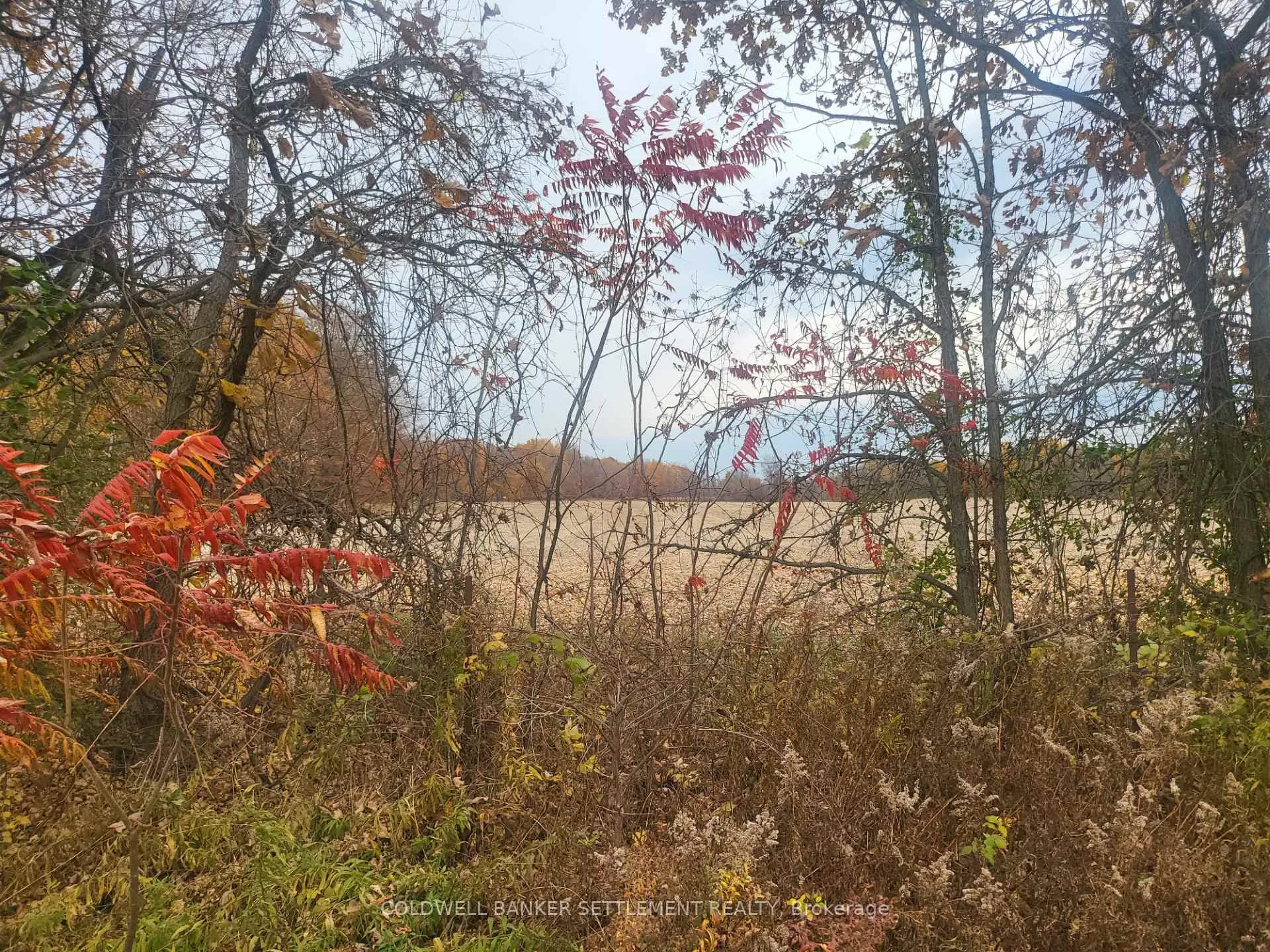 Photo 1 of Lot 1 Bush Road E, Rideau Lakes, Rideau Lakes (South Crosby) Twp — HOMEH