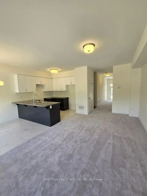 Photo 6 of 41 George Brier Drive E, Brant, Paris — HOMEH
