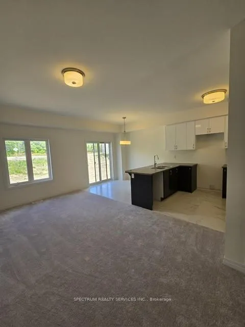Photo 7 of 41 George Brier Drive E, Brant, Paris — HOMEH