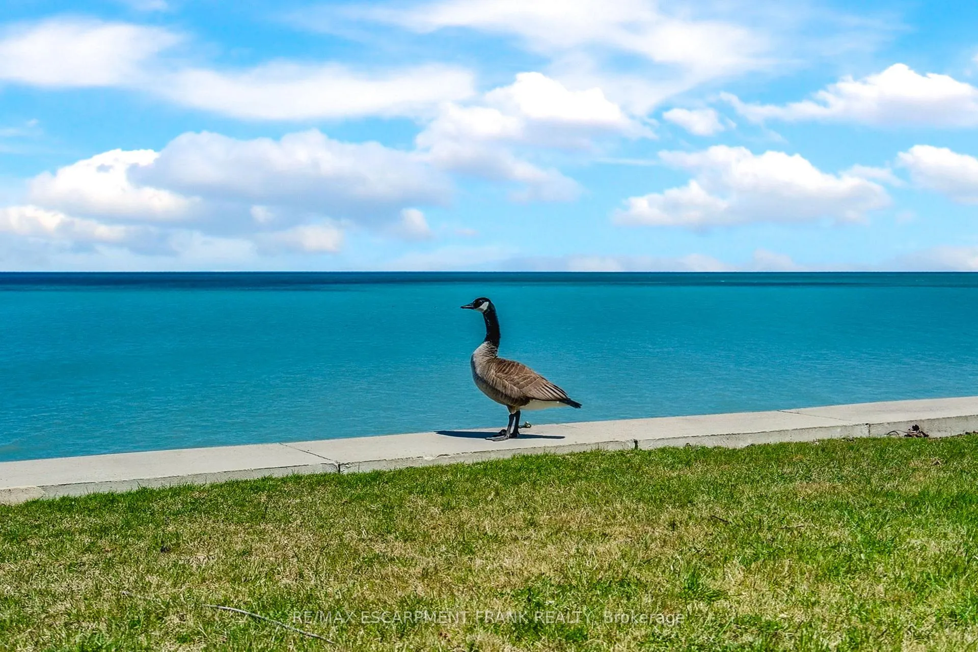 Photo 38 of 56 Seabreeze Crescent, Hamilton, Stoney Creek — HOMEH