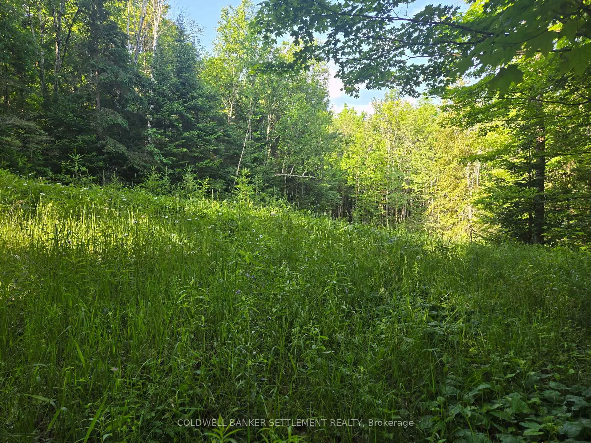 Photo 2 of 15894 Road 509, Frontenac, Frontenac Centre — HOMEH