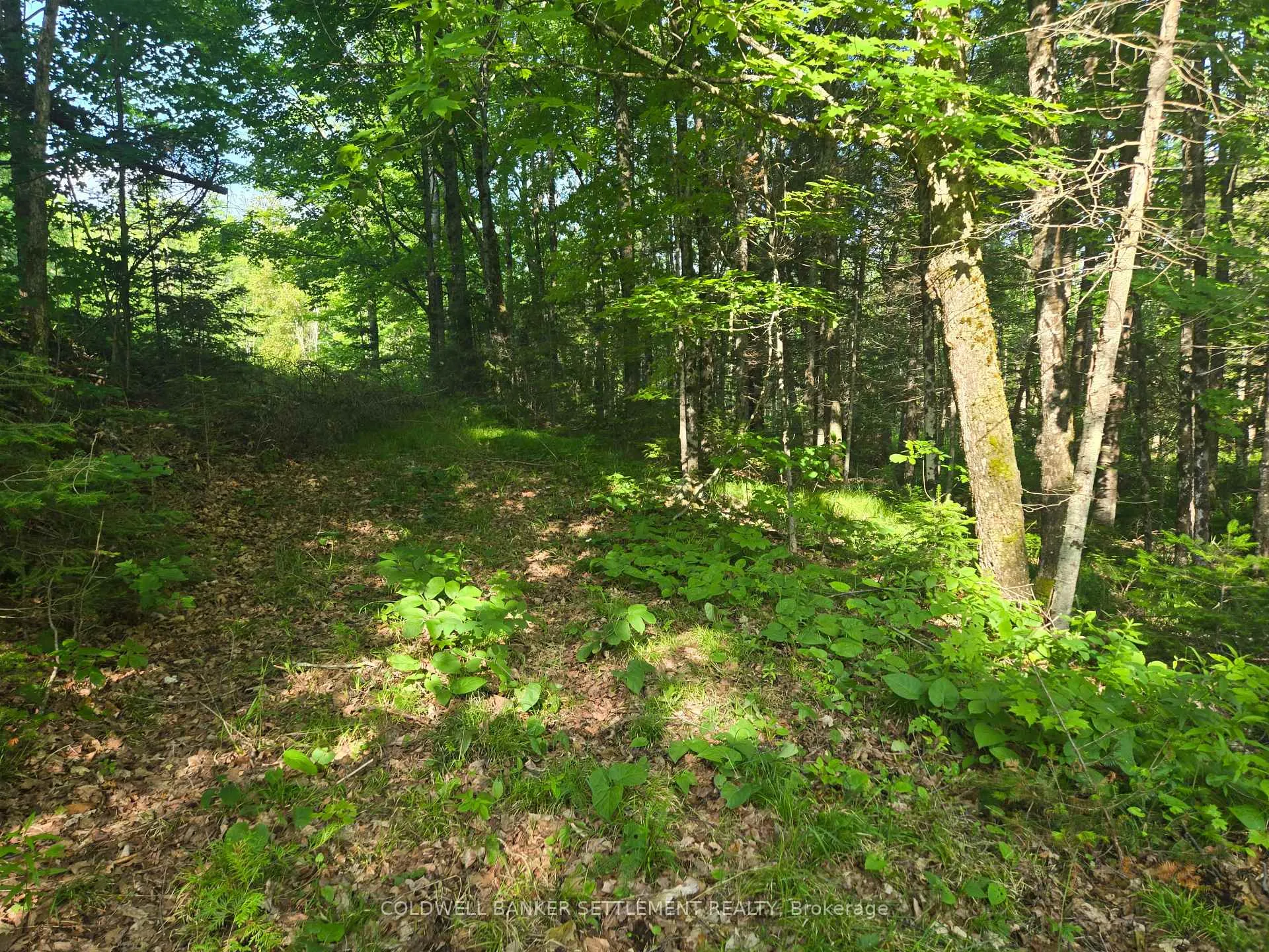 Photo 3 of 15894 Road 509, Frontenac, Frontenac Centre — HOMEH