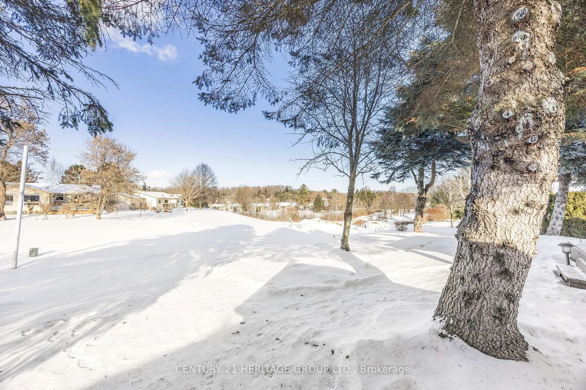 Photo 34 of 116 Tecumseth Pines Drive, New Tecumseth, Rural New Tecumseth — HOMEH