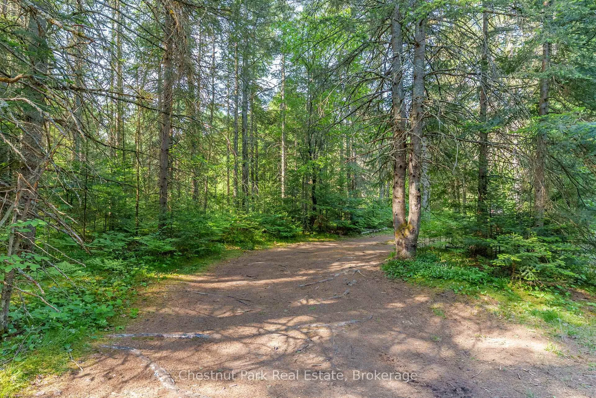 Photo 11 of Kallio Road, Kearney, Proudfoot — HOMEH