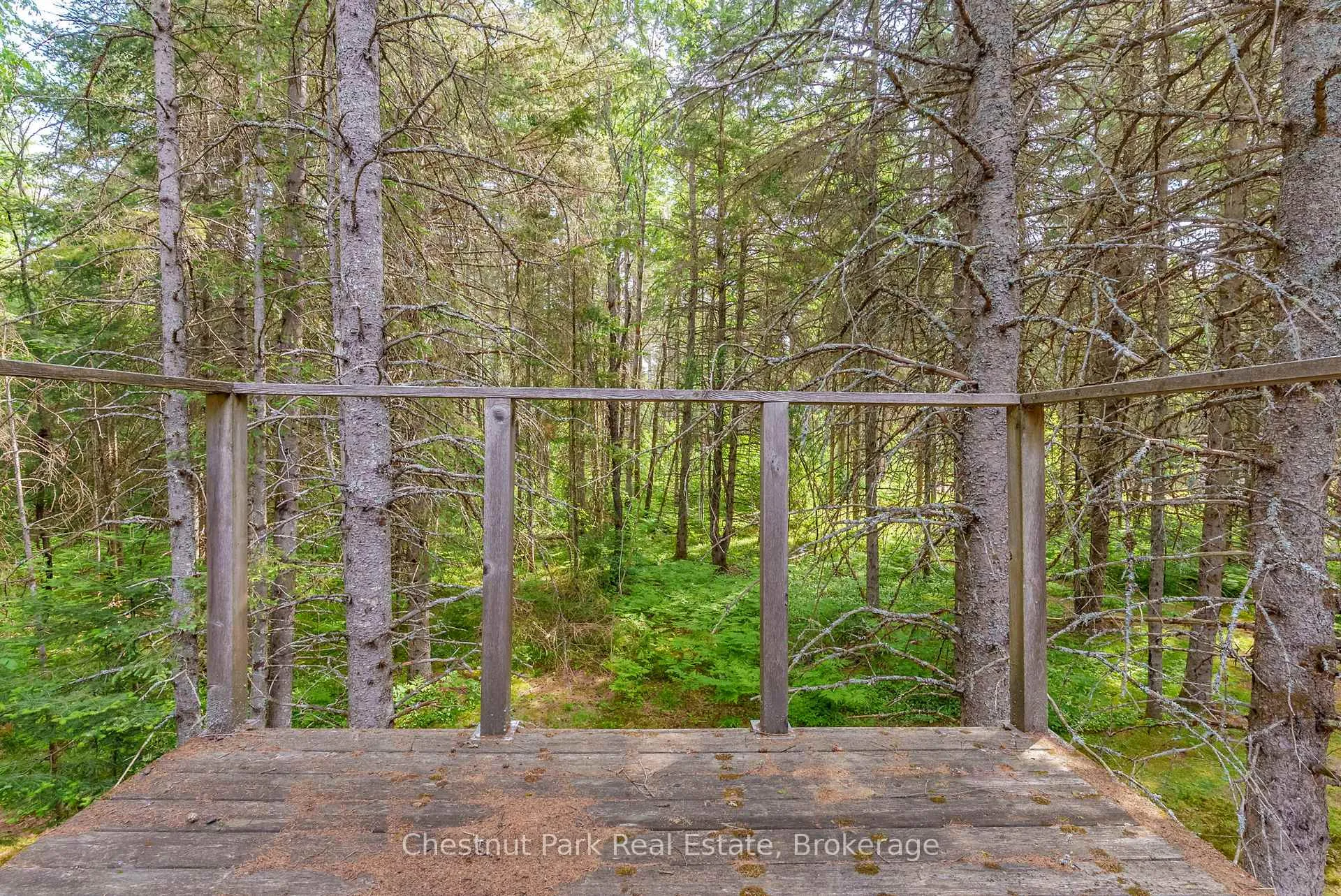Photo 19 of Kallio Road, Kearney, Proudfoot — HOMEH