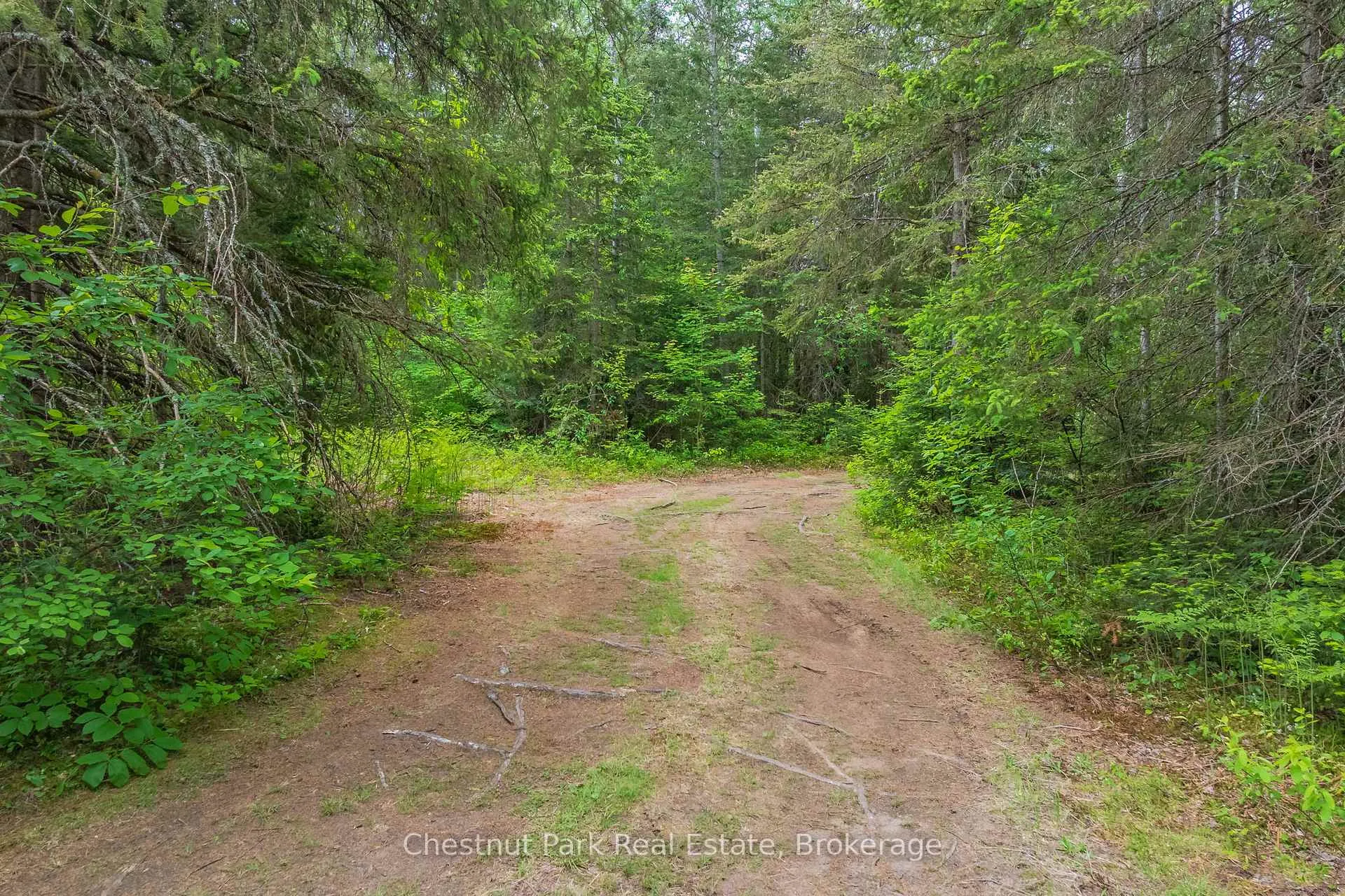 Photo 32 of Kallio Road, Kearney, Proudfoot — HOMEH