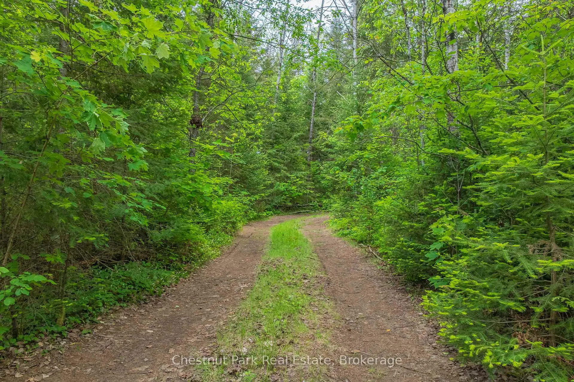 Photo 34 of Kallio Road, Kearney, Proudfoot — HOMEH