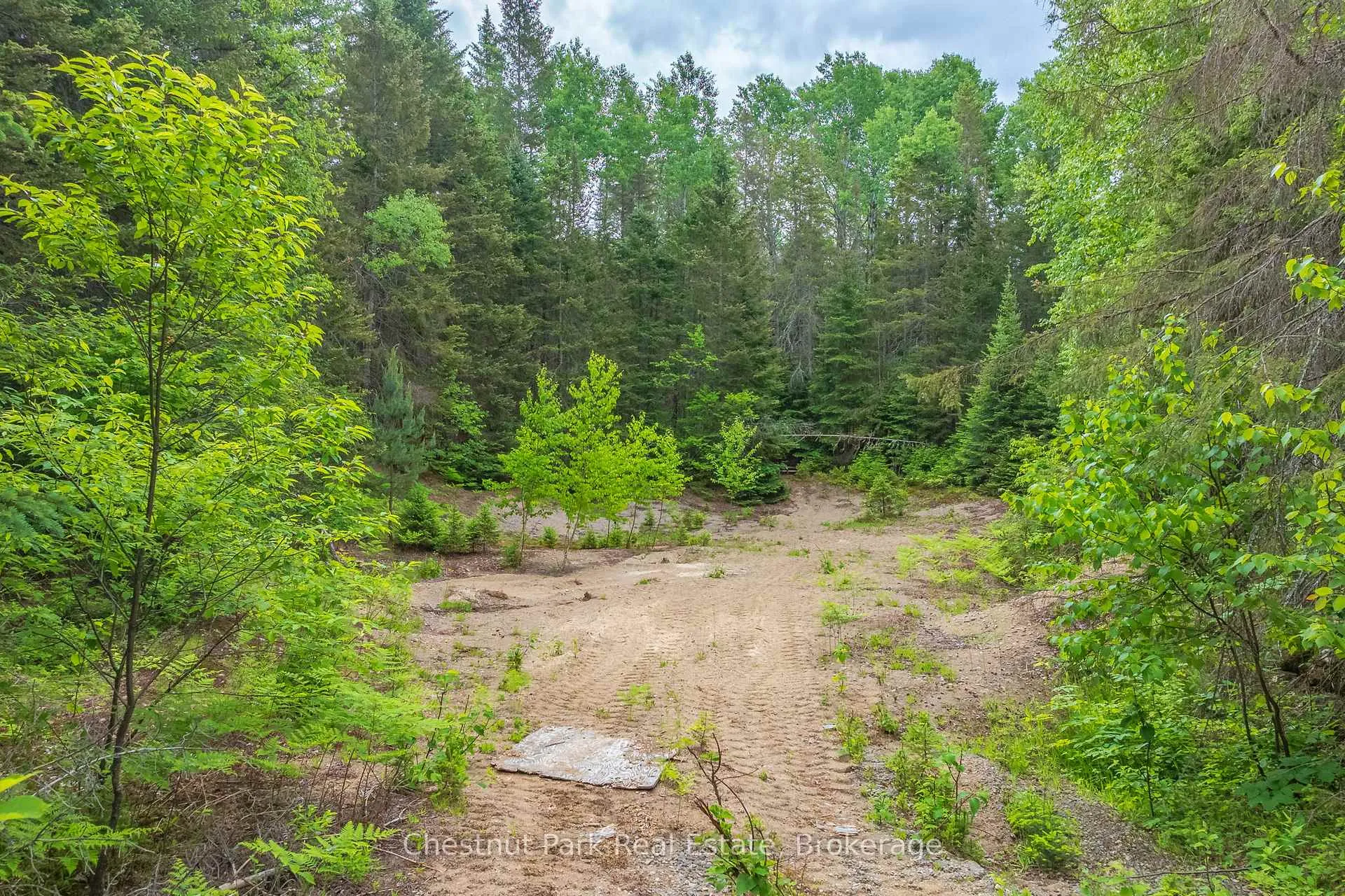 Photo 36 of Kallio Road, Kearney, Proudfoot — HOMEH