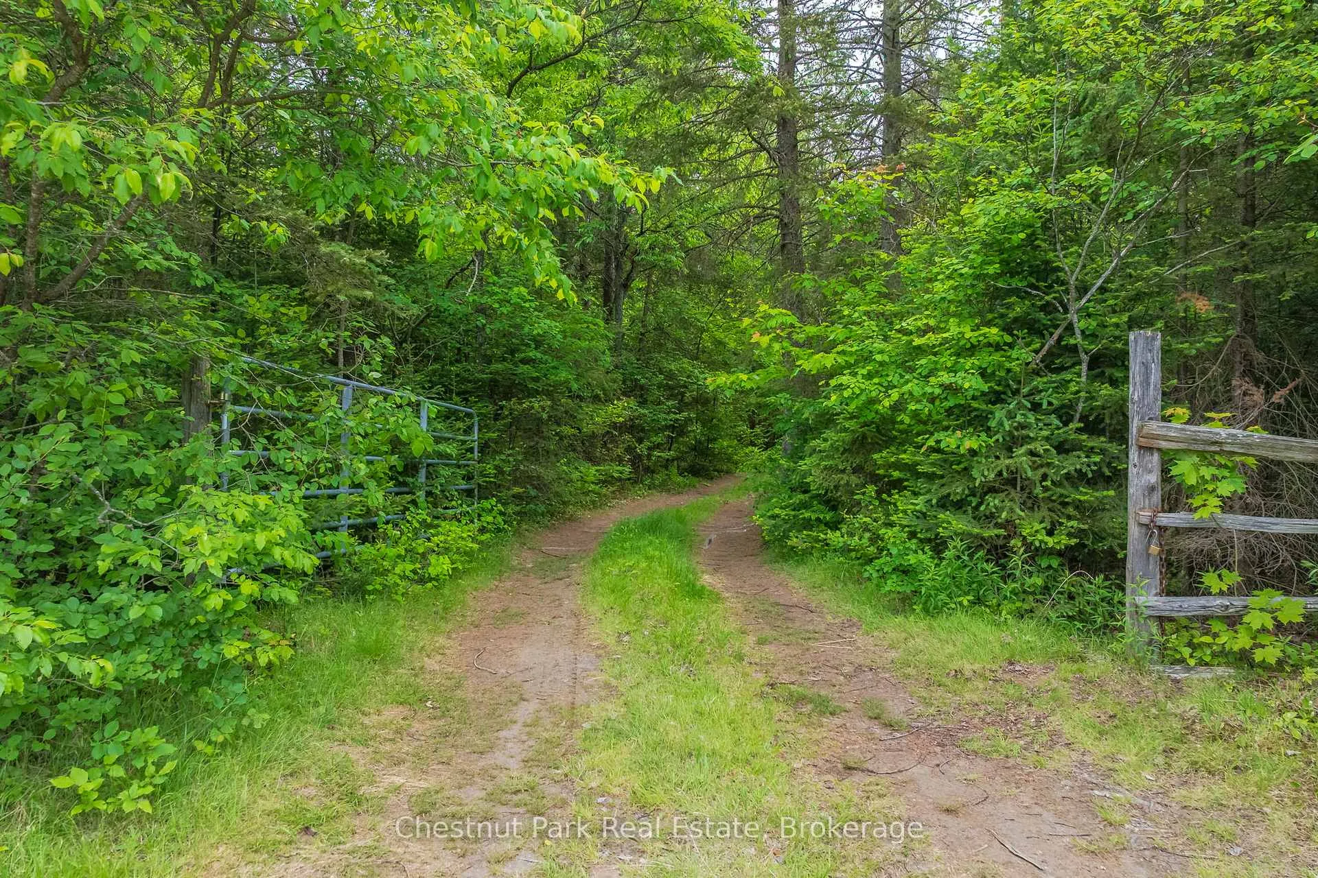 Photo 37 of Kallio Road, Kearney, Proudfoot — HOMEH