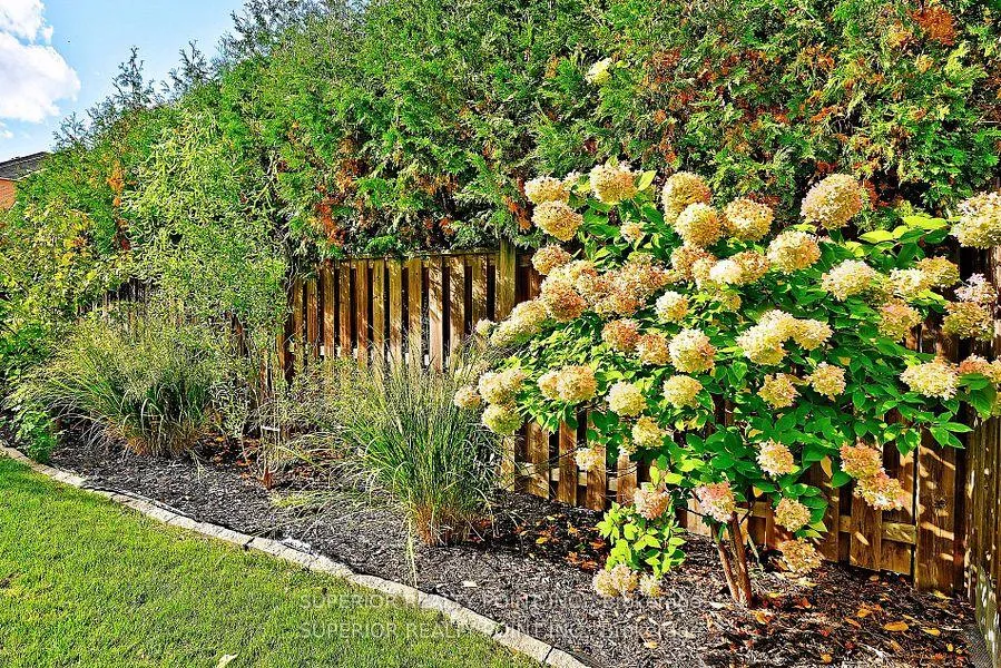 Photo 44 of 28 Maple Valley Road, Vaughan, Patterson — HOMEH
