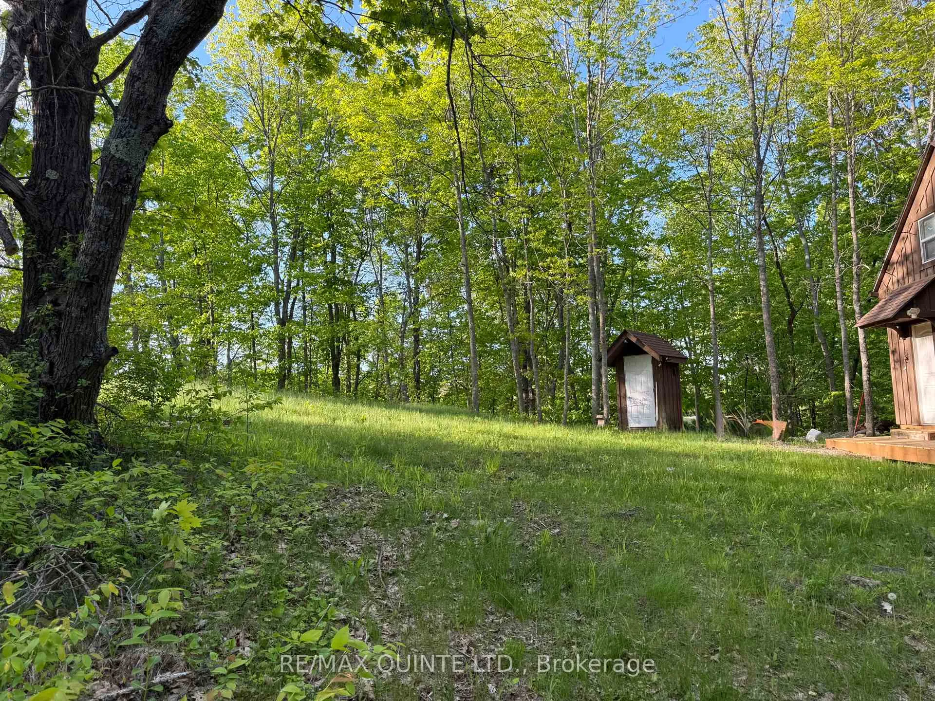 Photo 9 of Black River Lane, Tweed, Elzevir (Twp) — HOMEH