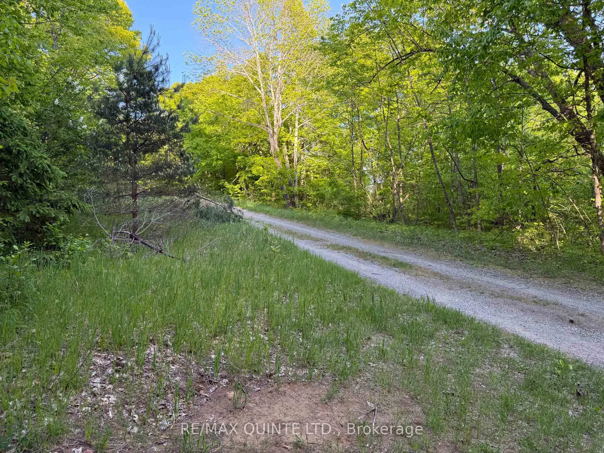 Photo 10 of Black River Lane, Tweed, Elzevir (Twp) — HOMEH