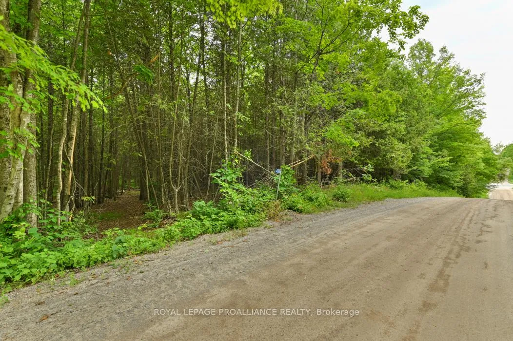 Photo 3 of 459 Meeks Road, Tweed, Hungerford (Twp) — HOMEH