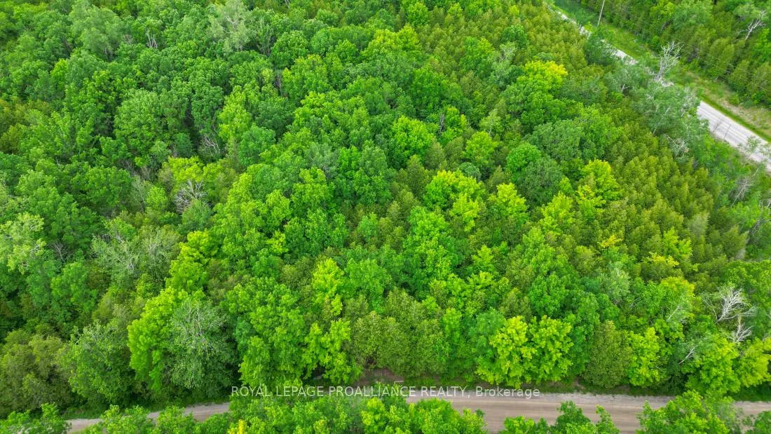 Photo 12 of 459 Meeks Road, Tweed, Hungerford (Twp) — HOMEH